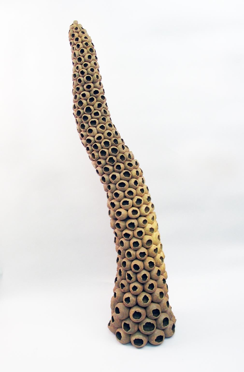 Elaine Lorenz Abstract Sculpture - “Depleted”, natural tan ceramic seedpods