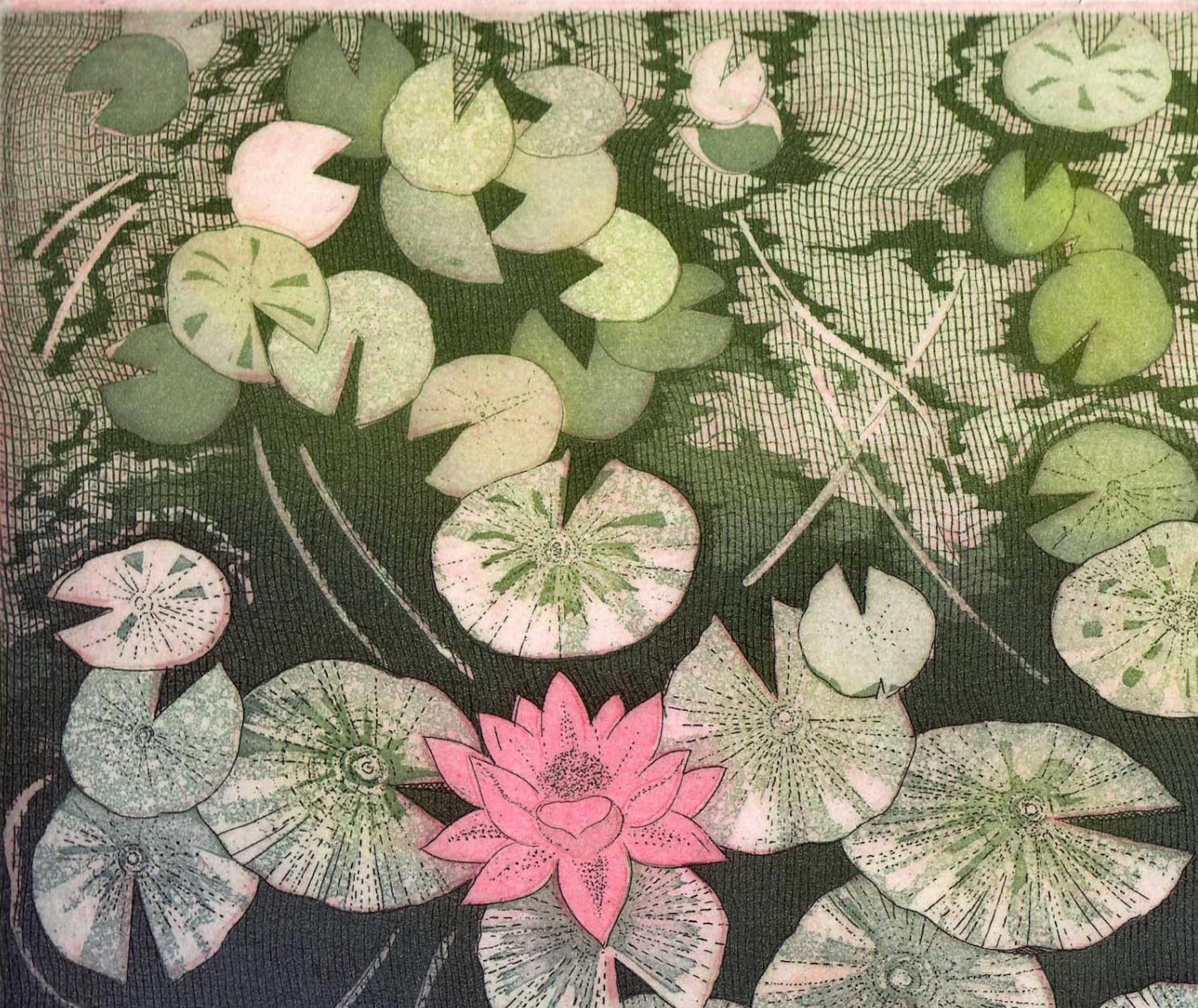 Waterlily pool by Elaine Marshall [2012]
Signed by the artist
Etching and aquatint
Edition of 5
Image size: H:17 cm x W:20 cm
Complete Size of Unframed Work: H:28 cm x W:36 cm x D:1cm
Please note that insitu images are purely an indication of how a