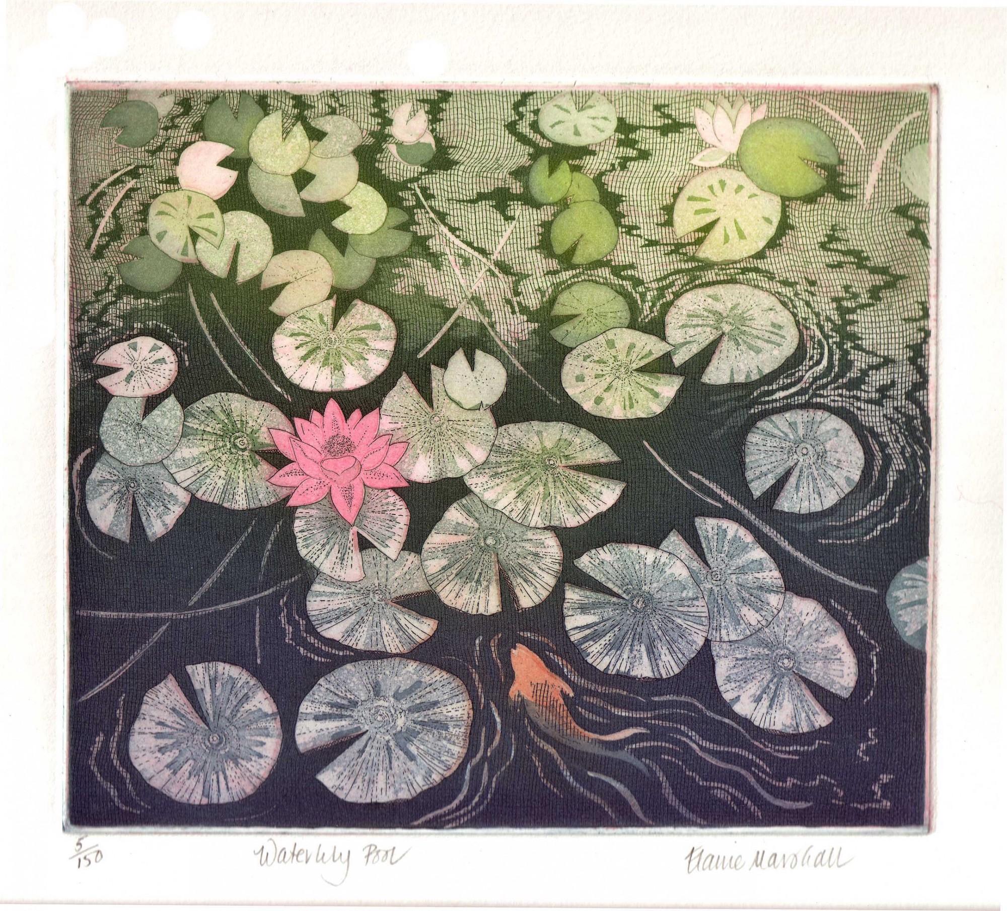 Waterlily Pool, Elaine Marshall, Limited Edition Animal Print, Handmade Prints