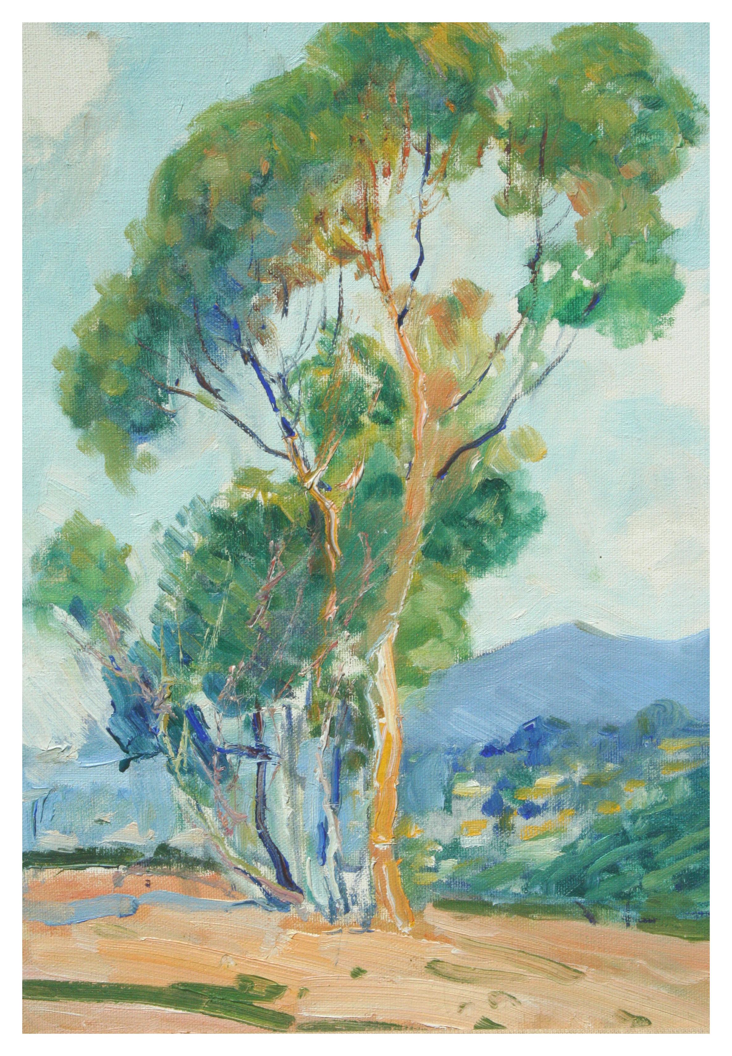 Albero di eucalipto - Impressionista originale su tela - Painting Impressionismo americano di Elaine Trowbridge