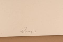 Prima I, Large Abstract Expressionist Screenprint Triptych by Elba Alvarez