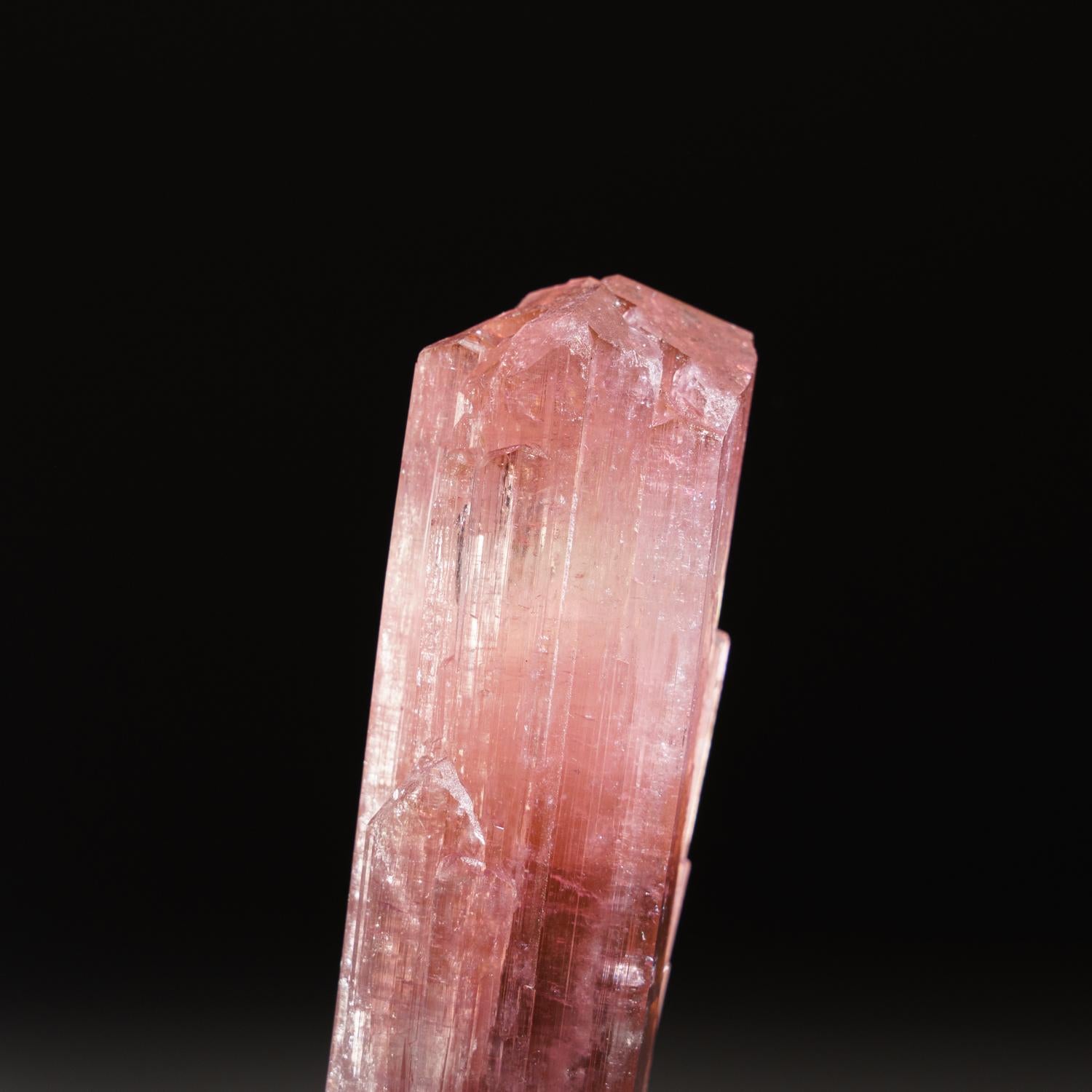 From Paprok, Kamdesh District, Nuristan Province, Afghanistan

Large watermelon pink elbaite tourmaline with transparent lighter pink to cherry red zoning at the top. The tourmaline crystal is well defined with deeply striated crystal faces.