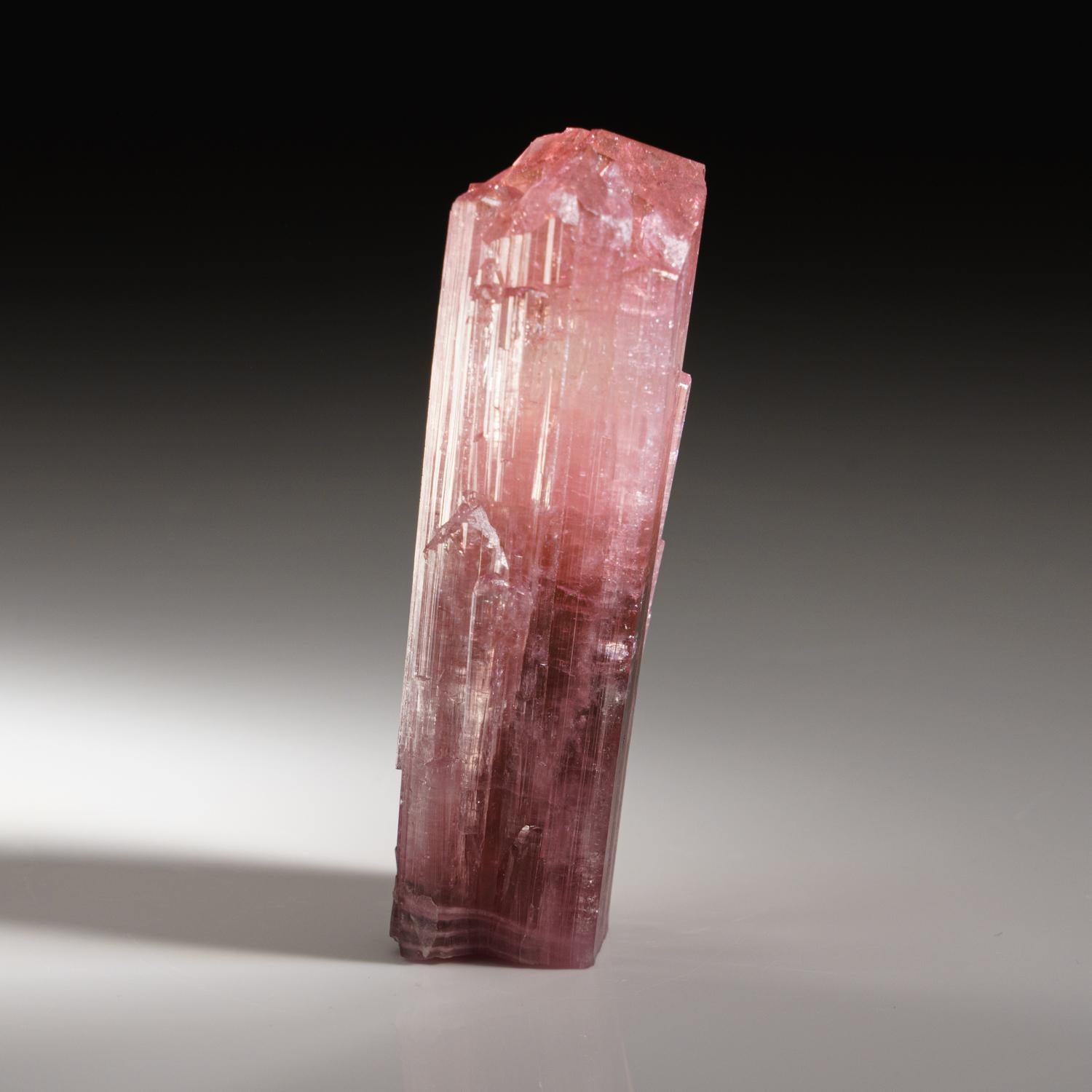 Elbaite Tourmaline from Nuristan Province, Afghanistan In Excellent Condition For Sale In New York, NY