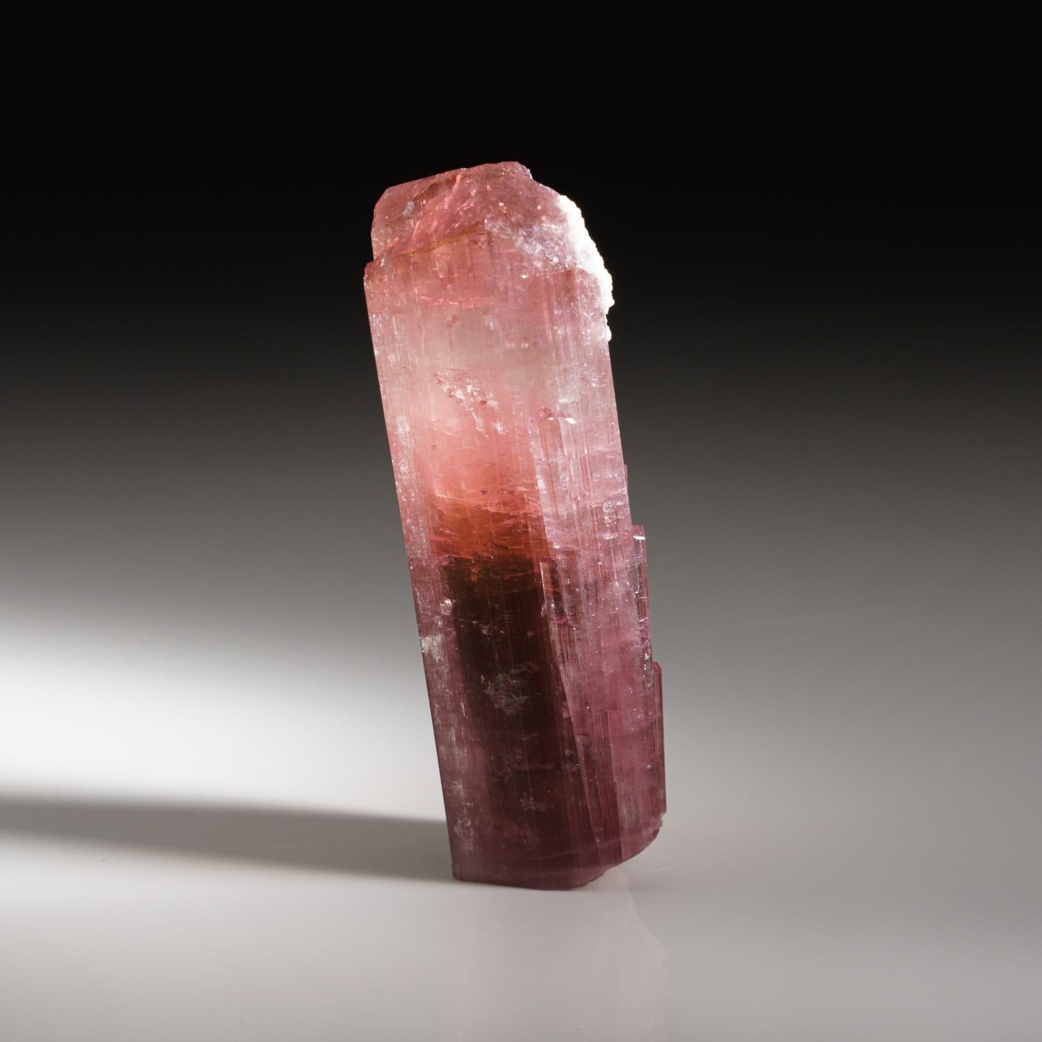 Elbaite Tourmaline from Nuristan Province, Afghanistan For Sale 1