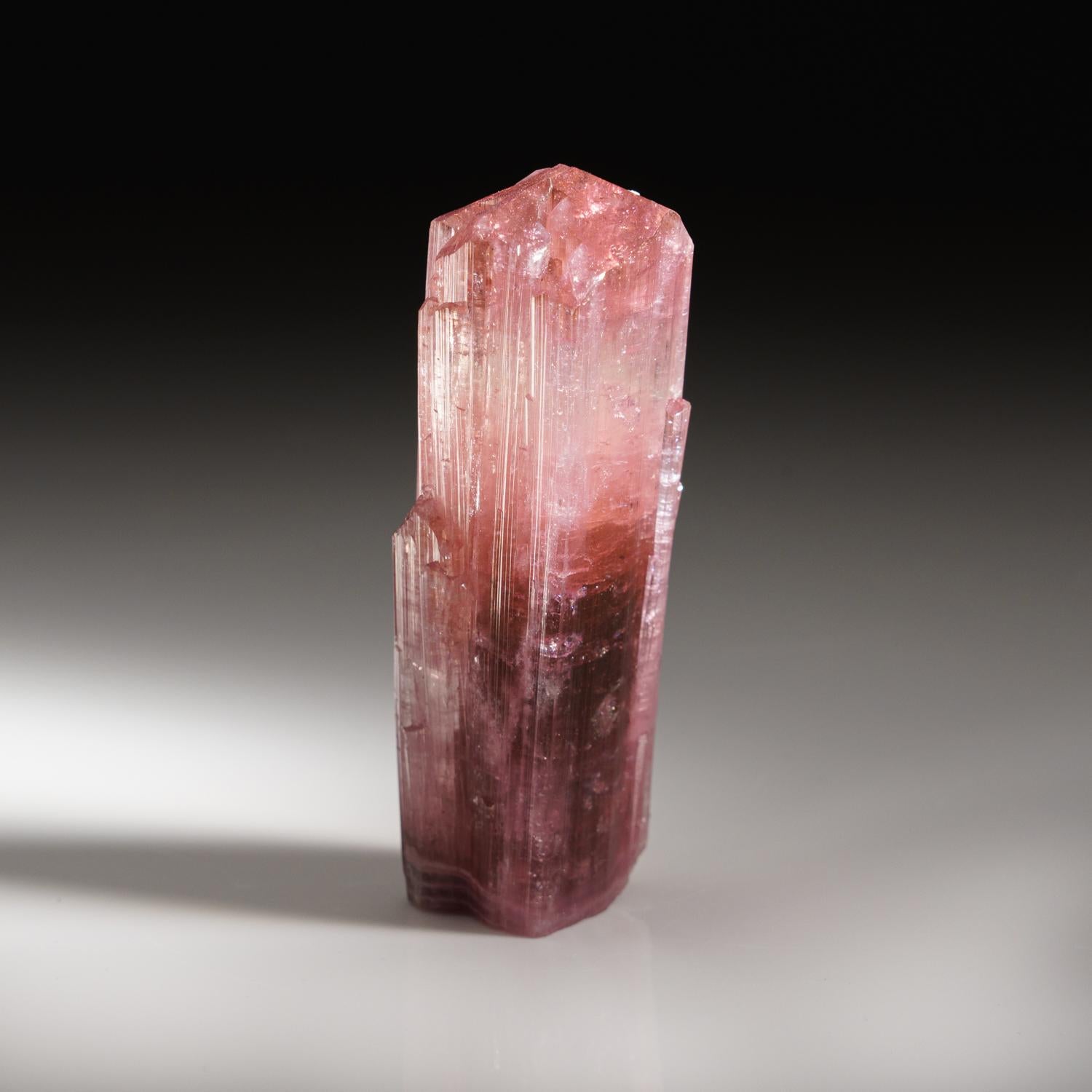 Elbaite Tourmaline from Nuristan Province, Afghanistan For Sale 3