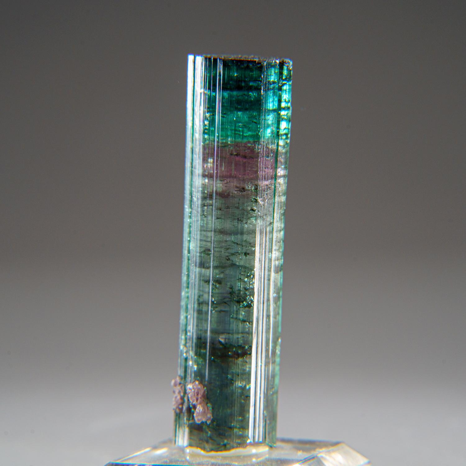 Elbaite var. Tourmaline from Sapo Mine, Minas Gerais, Brazil In New Condition For Sale In New York, NY