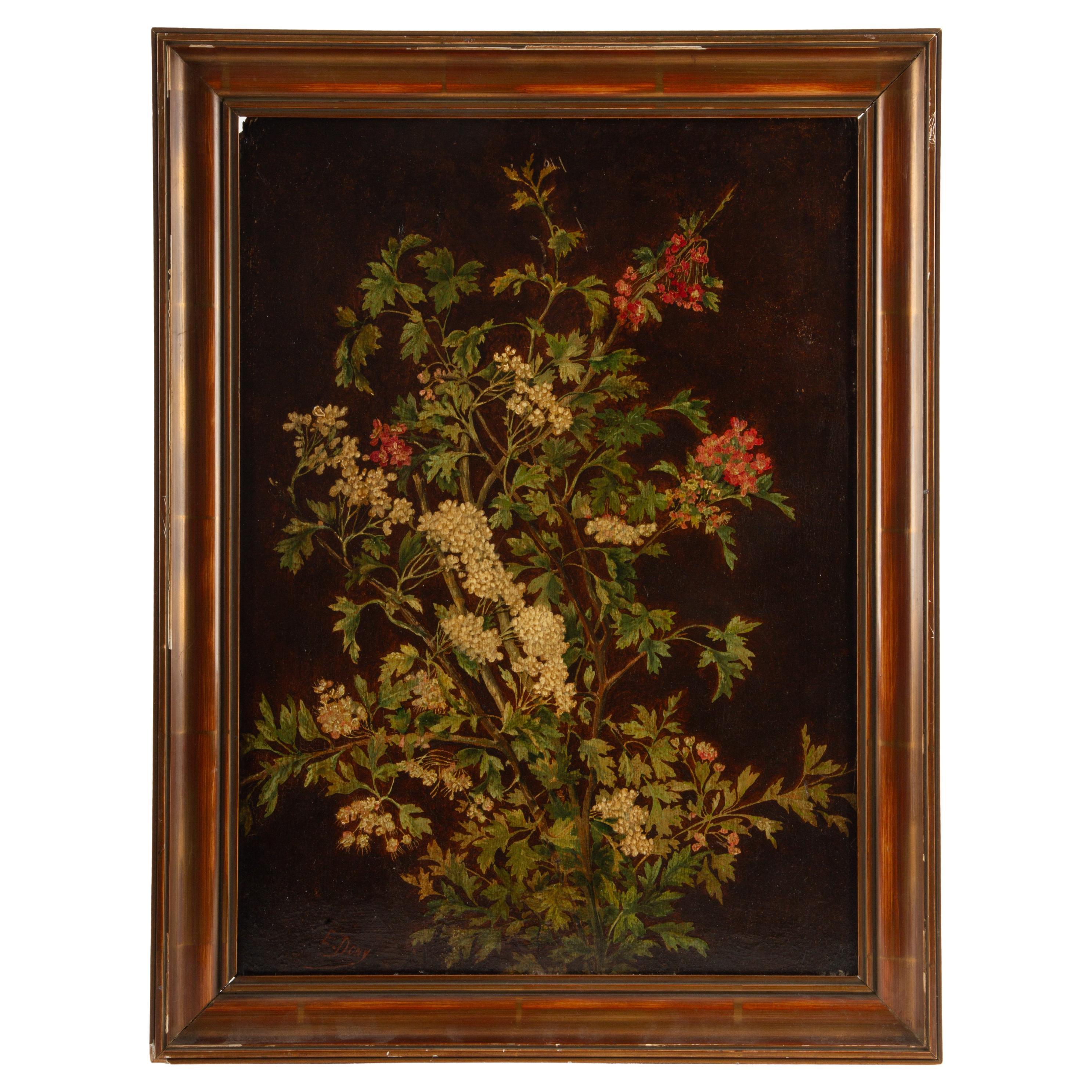 Elderflower Branches (Sambucus), Signed E. Dony, 19th Century For Sale