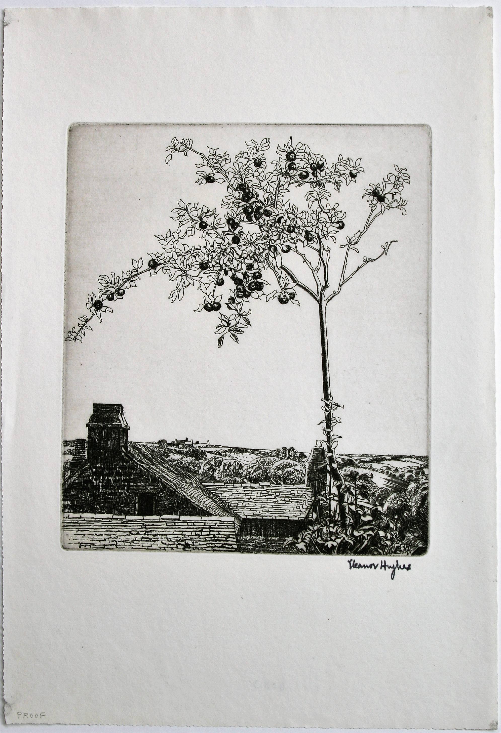 Apple Tree (Fruit Tree Overlooking Farm) - Print by Eleanor Mary Hughes