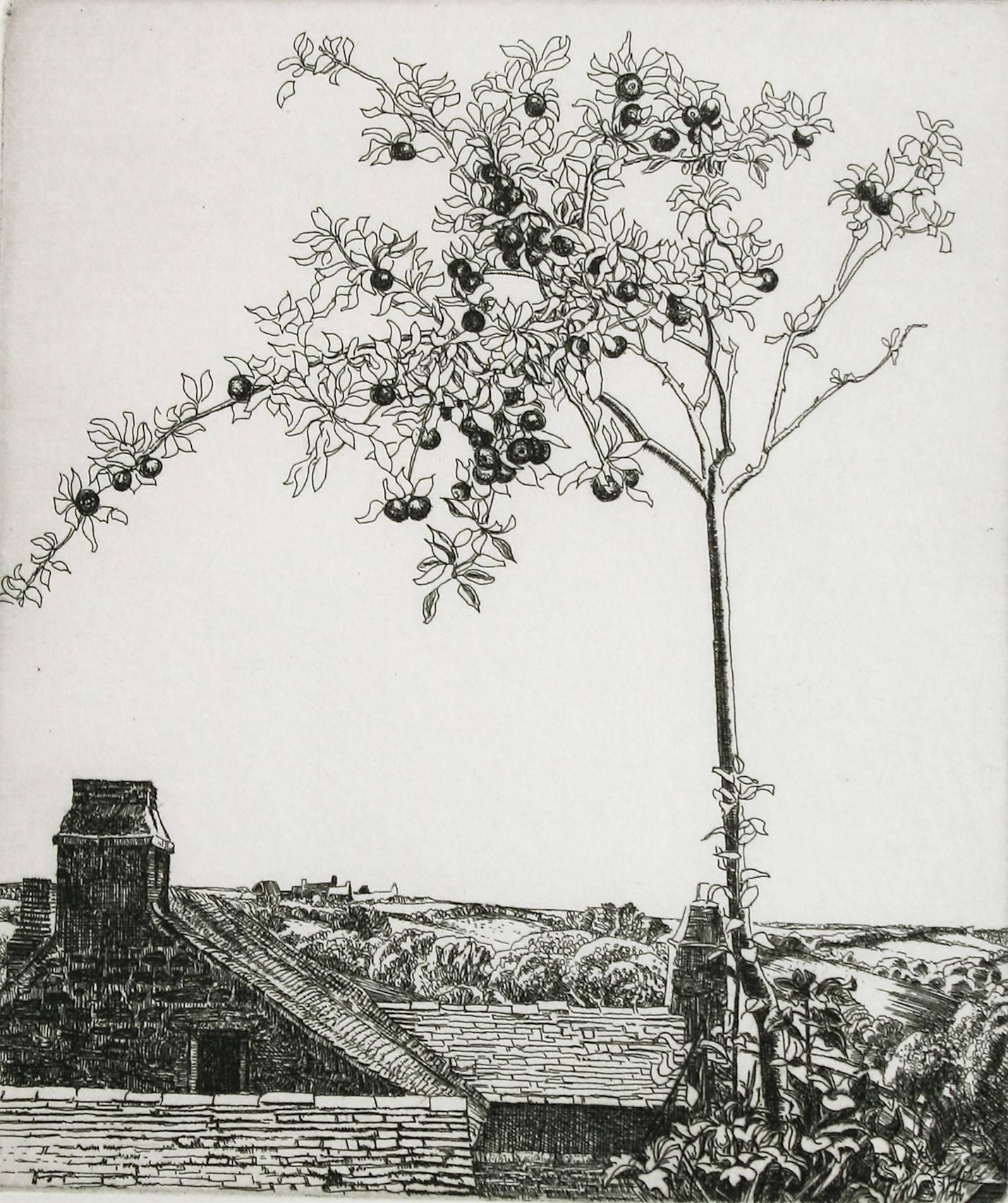 Eleanor Mary Hughes Still-Life Print - Apple Tree (Fruit Tree Overlooking Farm)