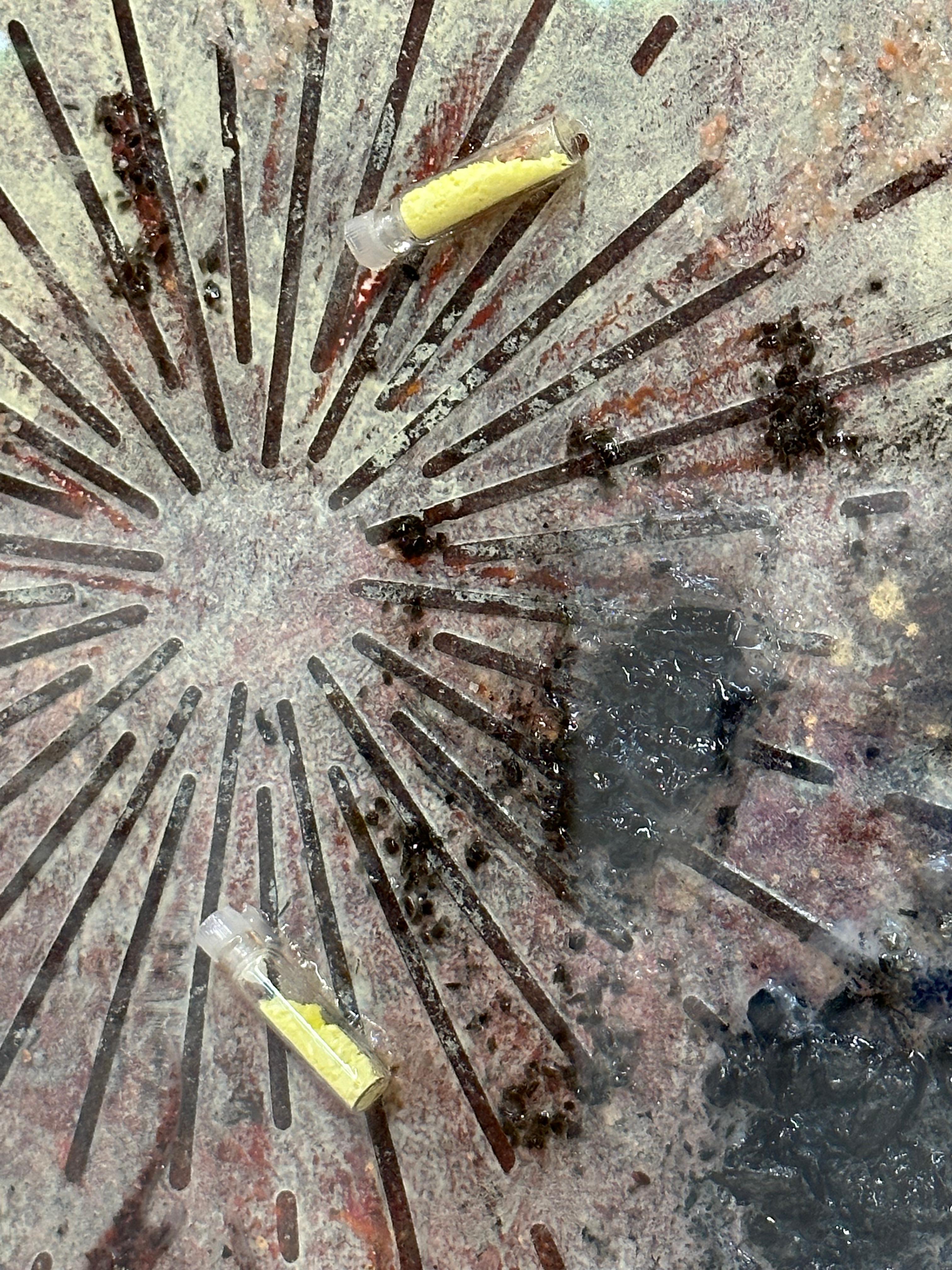 Ash and Brimstone - Silver Brown Yellow Mixed Media Texture Minerals, 2023 en vente 3