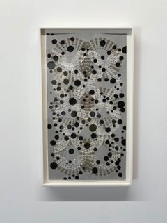 Untitled Black Dots Two Patterns - Mixed Media Crushed Eggshell Black Gray, 2017