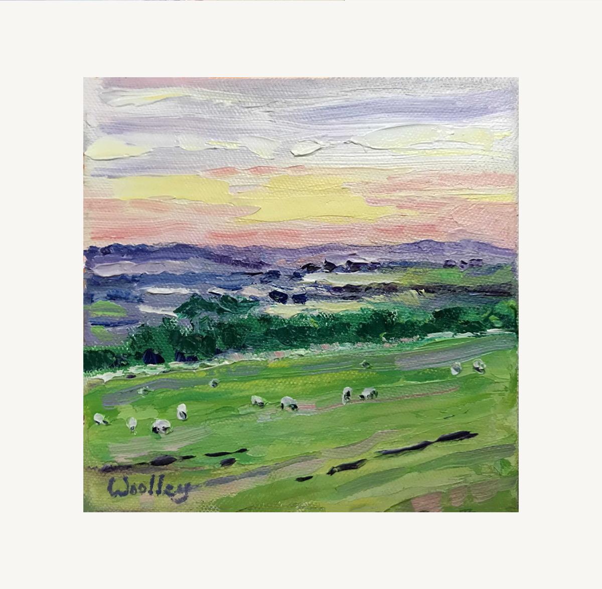 Cotswold Sheep, Oil On Canvas, Landscape, Cotswold, Animal, Nature, Meadows - Painting by Eleanor Woolley 