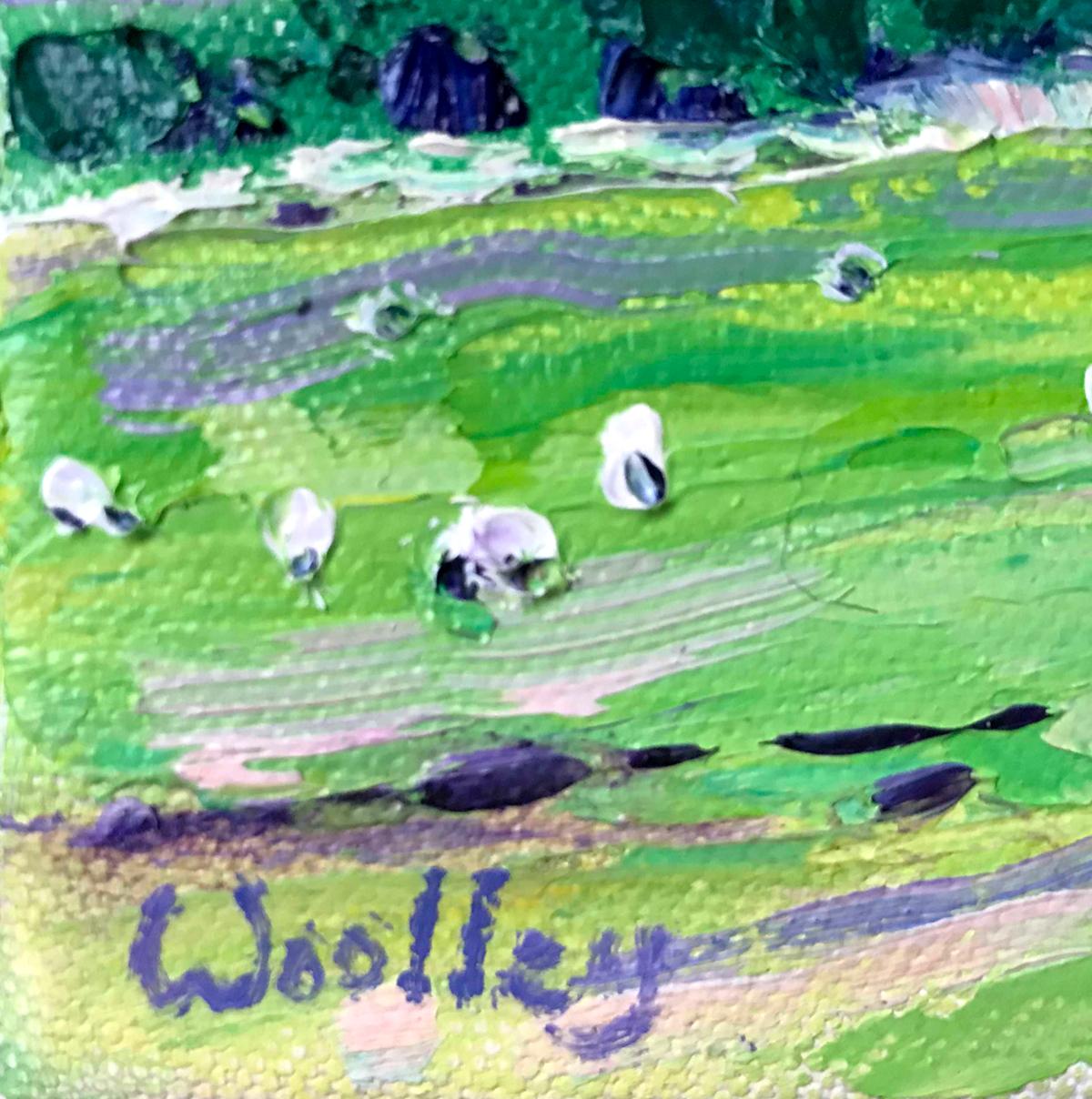 Cotswold Sheep, Oil On Canvas, Landscape, Cotswold, Animal, Nature, Meadows - Gray Still-Life Painting by Eleanor Woolley 