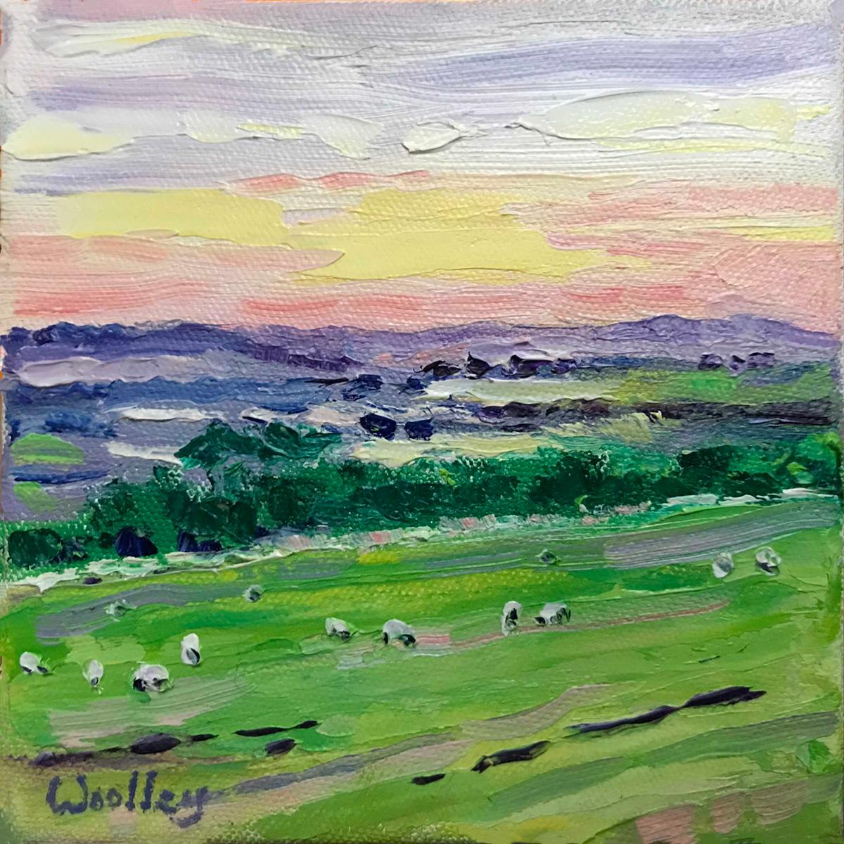 Eleanor Woolley  Still-Life Painting - Cotswold Sheep, Oil On Canvas, Landscape, Cotswold, Animal, Nature, Meadows