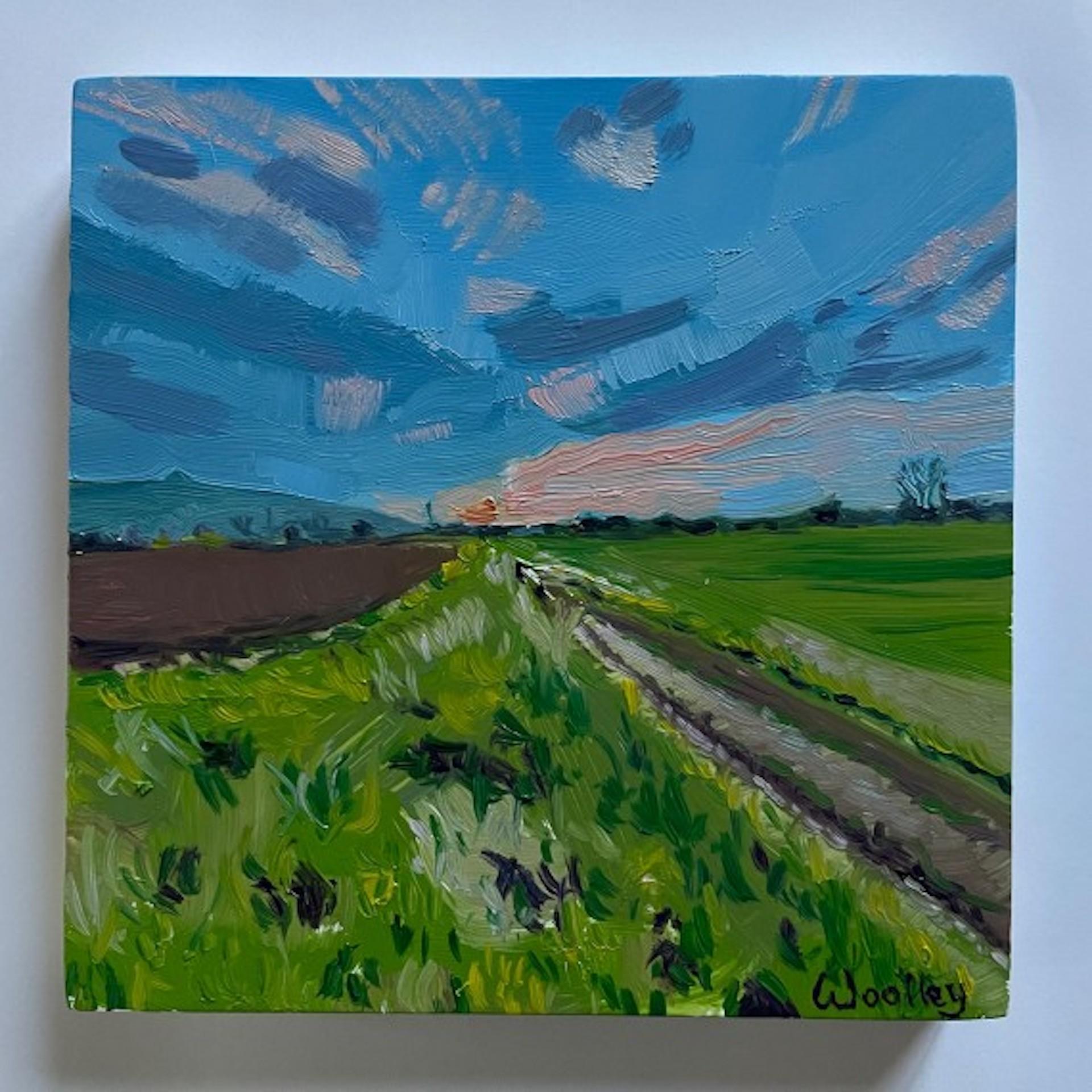 Peinture de paysage de Cotswold par Eleanor Woolley, May Hill, Art abordable en vente 1