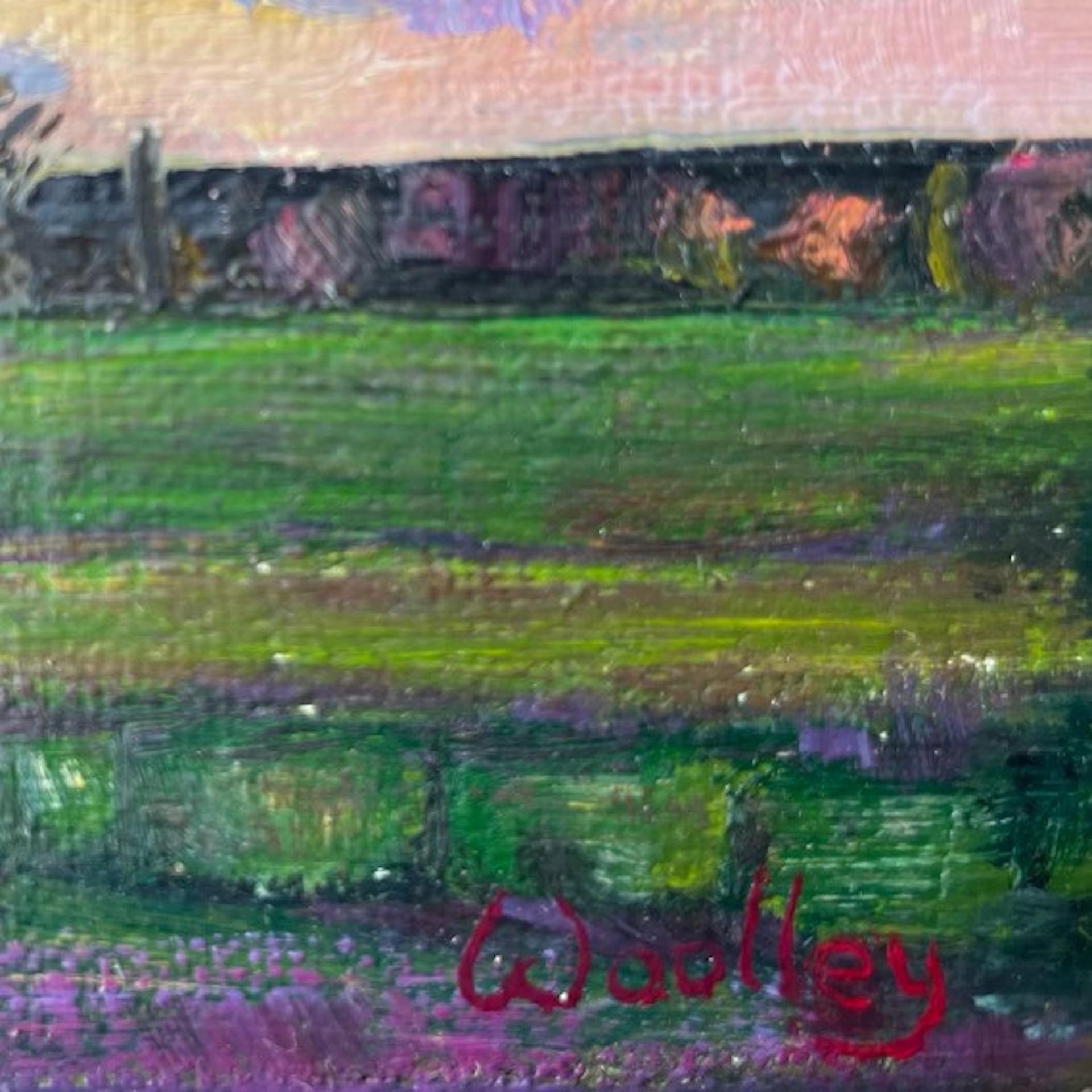 Eleanor Woolley, Atardecer con cielo violeta, Pintura original de paisaje en venta 5