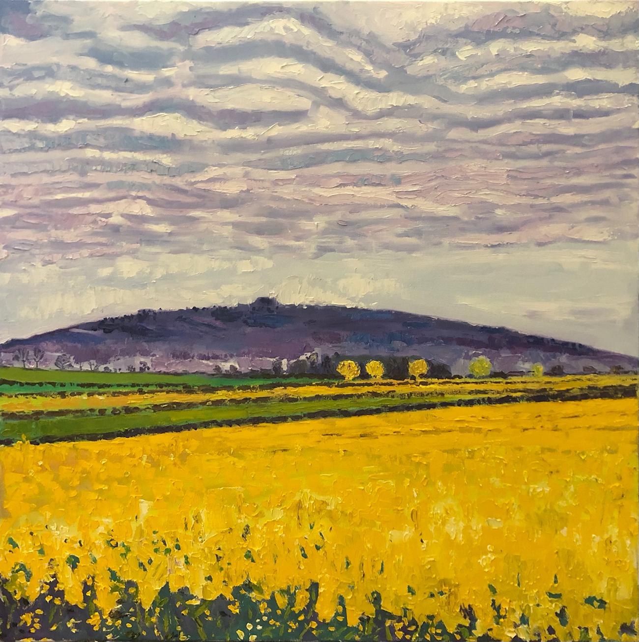 May Hill with Yellow Fields For Sale 4