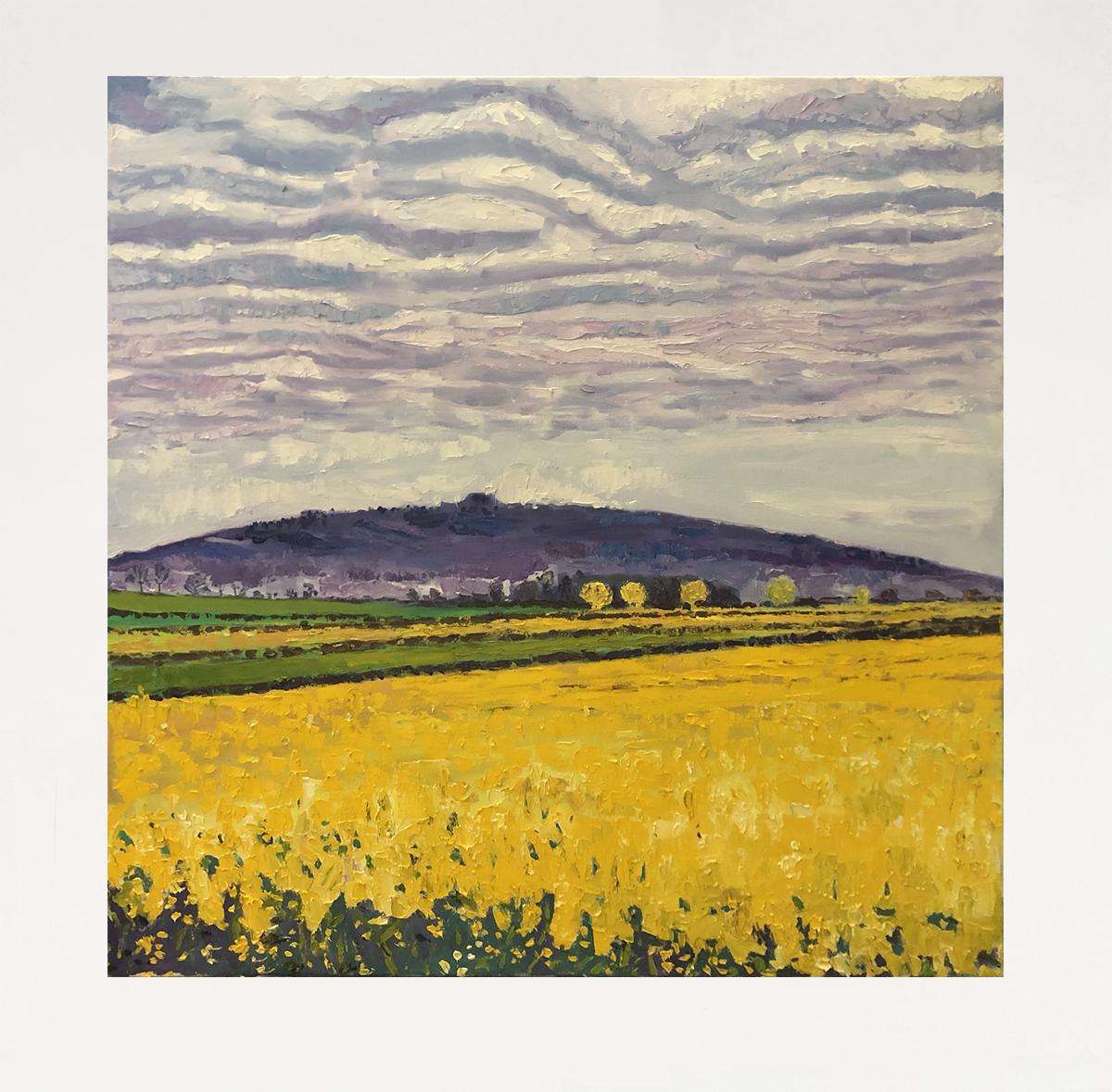 May Hill with Yellow Fields For Sale 5