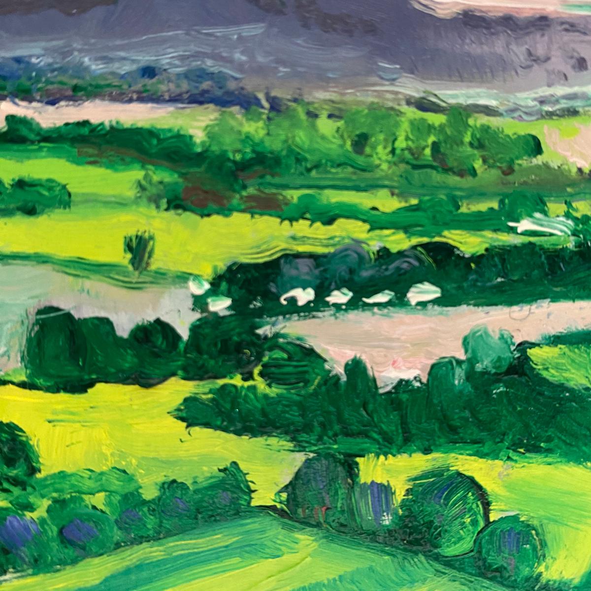 Stroud Valley è un dipinto originale di Eleanor Woolley. La valle di Stroud è una rappresentazione vivace e colorata di uno dei luoghi preferiti dell'artista. Mostra la fine della scarpata di Cotswold, che degrada verso la Severn Vale. I bellissimi