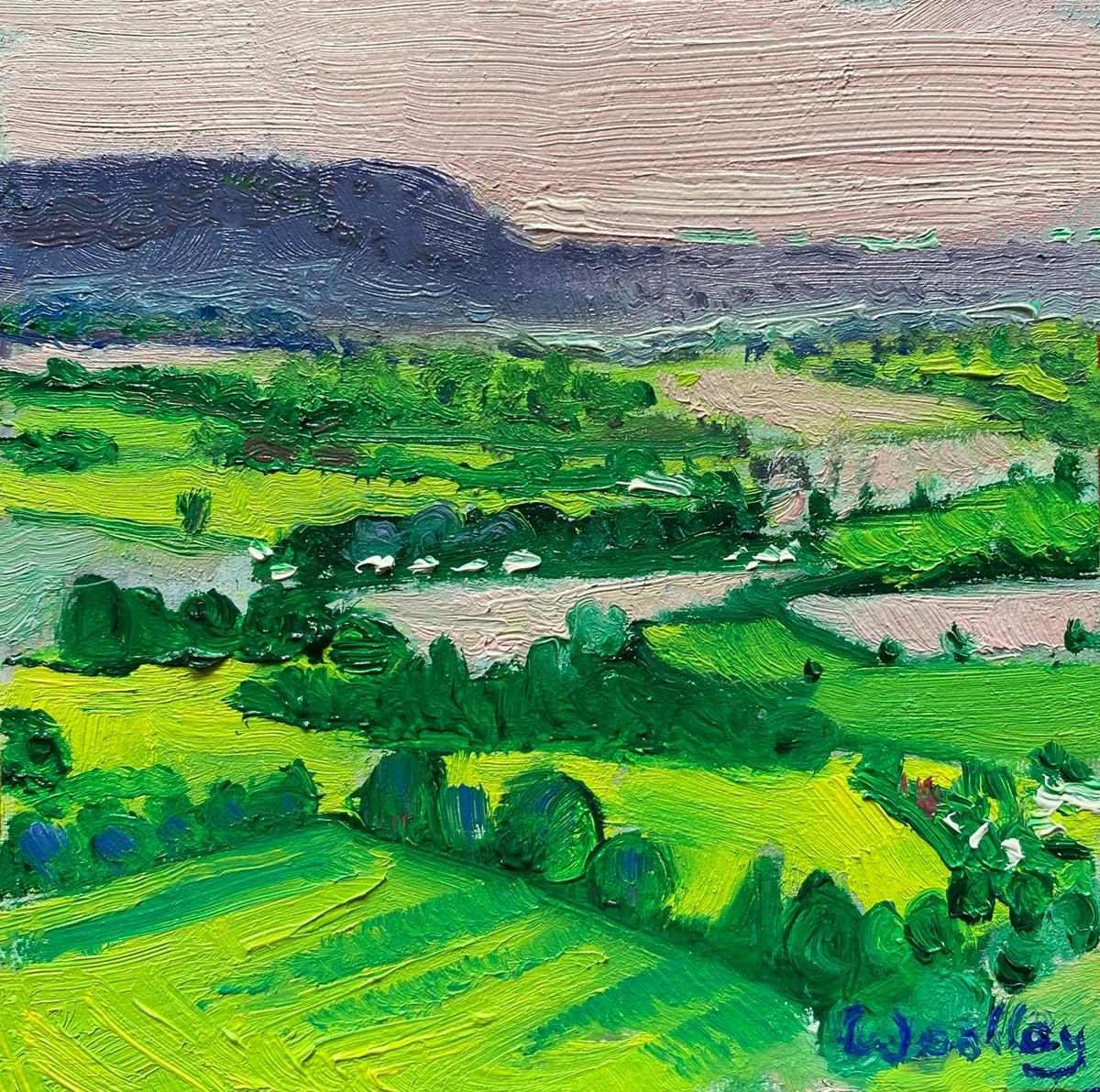 The Severn Vale and Stroud Valley, Set of 2, Original, Landscape, Expressionist - Green Landscape Painting by Eleanor Woolley