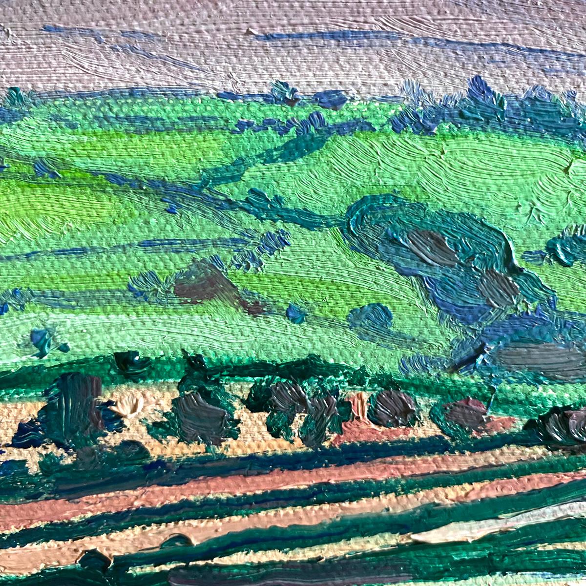 Colinas de Truro es un cuadro original de Eleanor Woolley. Este cuadro representa las encantadoras colinas ondulantes de Truro, Devon. Una hermosa puesta de sol con sus franjas de amarillo limón, magenta y melocotón se refleja en el paisaje rural.