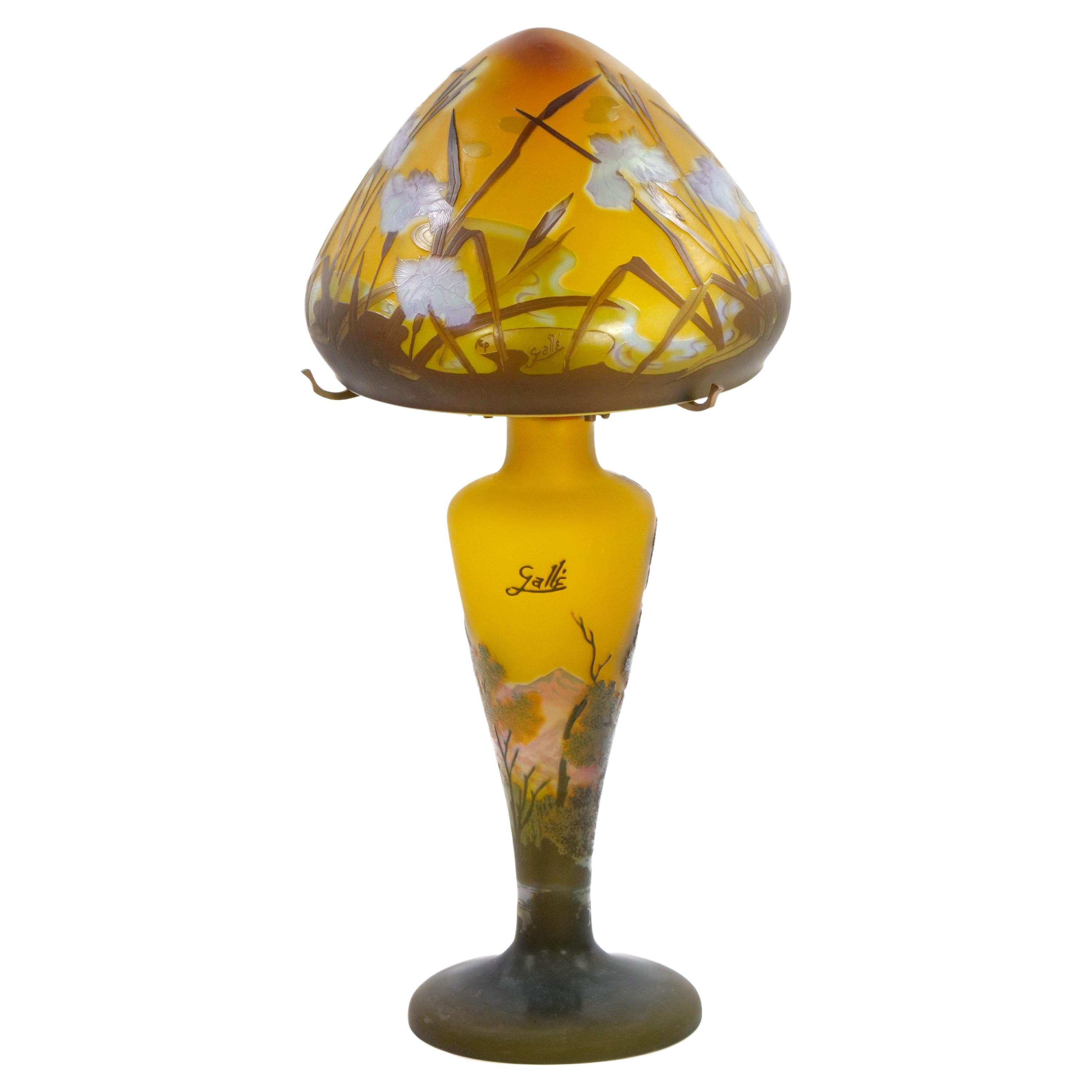 Electrified Galle Cameo Glass Art Nouveau Table Lamp