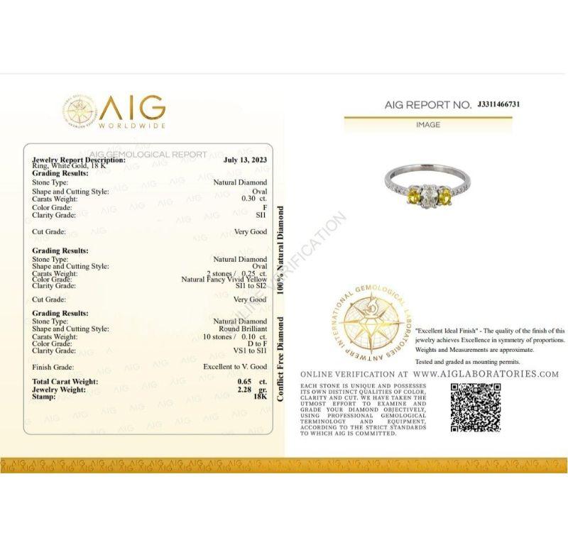 Elegant 18 kt. White Gold Ring w/ 0.65 ct total carat Diamond - AIG Certificate 4