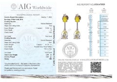 Elegant 18k White Gold Drop Earrings w/ 2.59 ct Natural Diamonds-AIG Certificate
