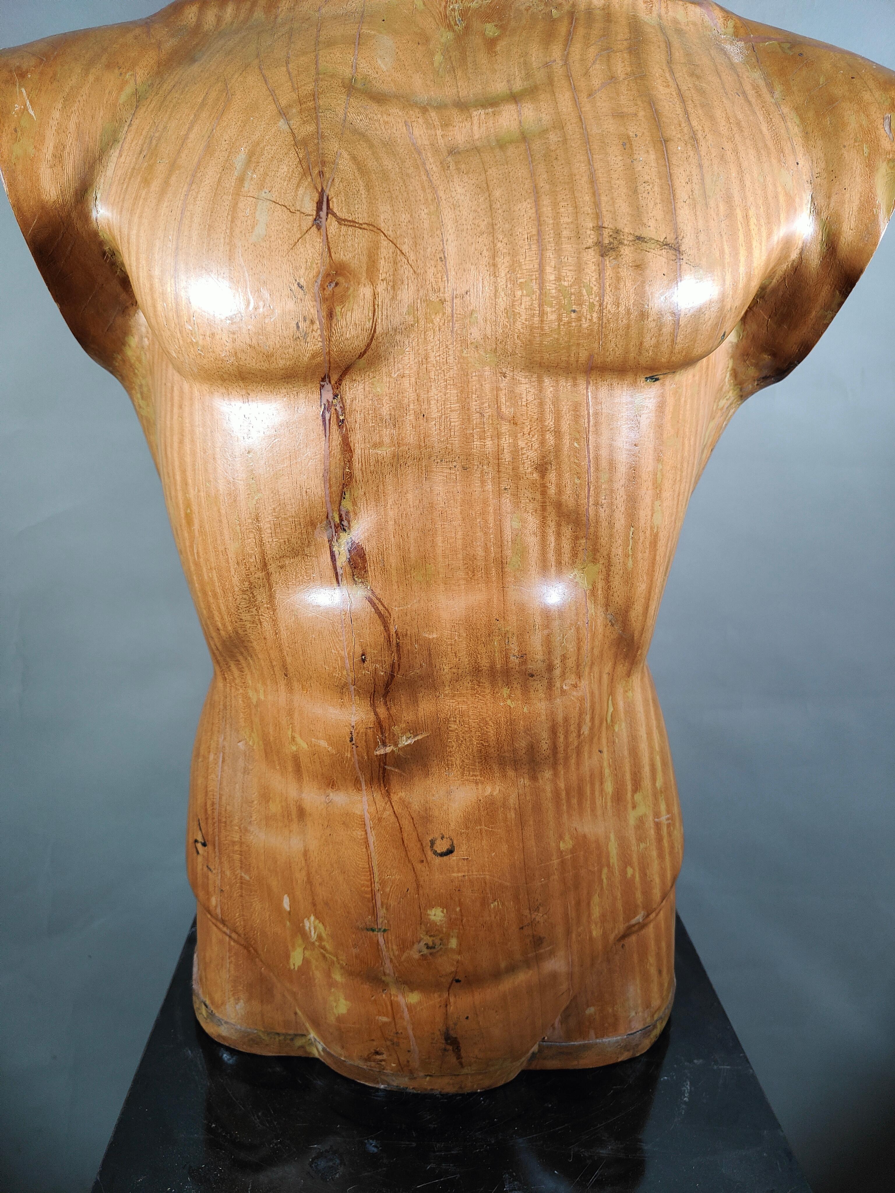 Elegant 1950s French Wooden Male Torso: Sculpted Solid Wood Craftsmanship For Sale 1