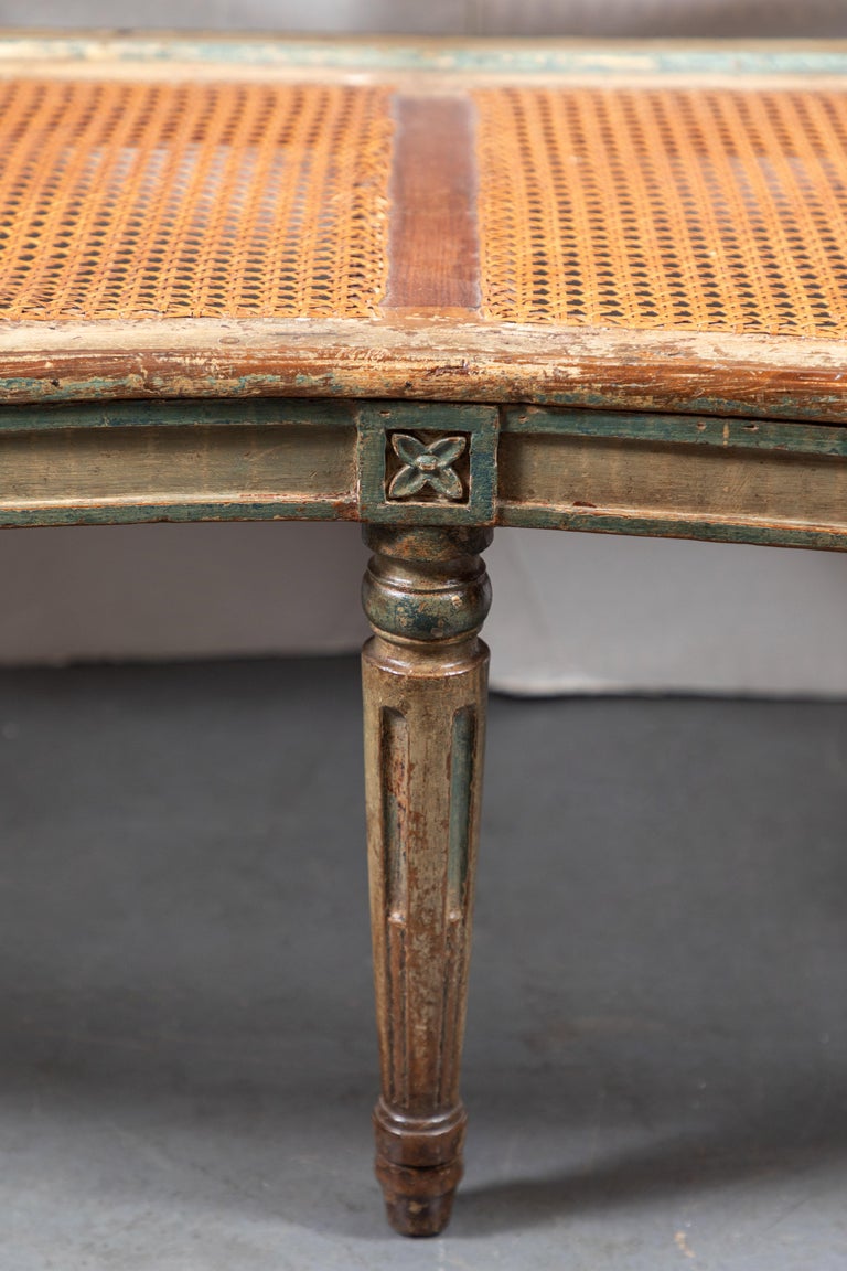 Elegant, 19th Century, French, Caned Settee 5
