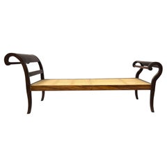 Elegant 19th-Century Brazilian Empire Bench -  Settee - Recamier