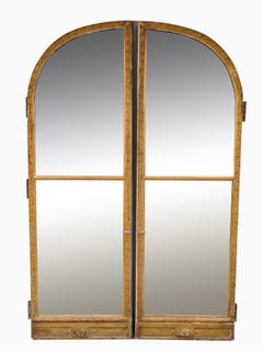 Elegant 19th Century Door with Mirrors