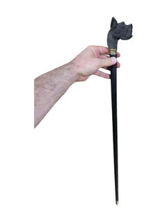 Elegant 19th Century Ebony Cane
