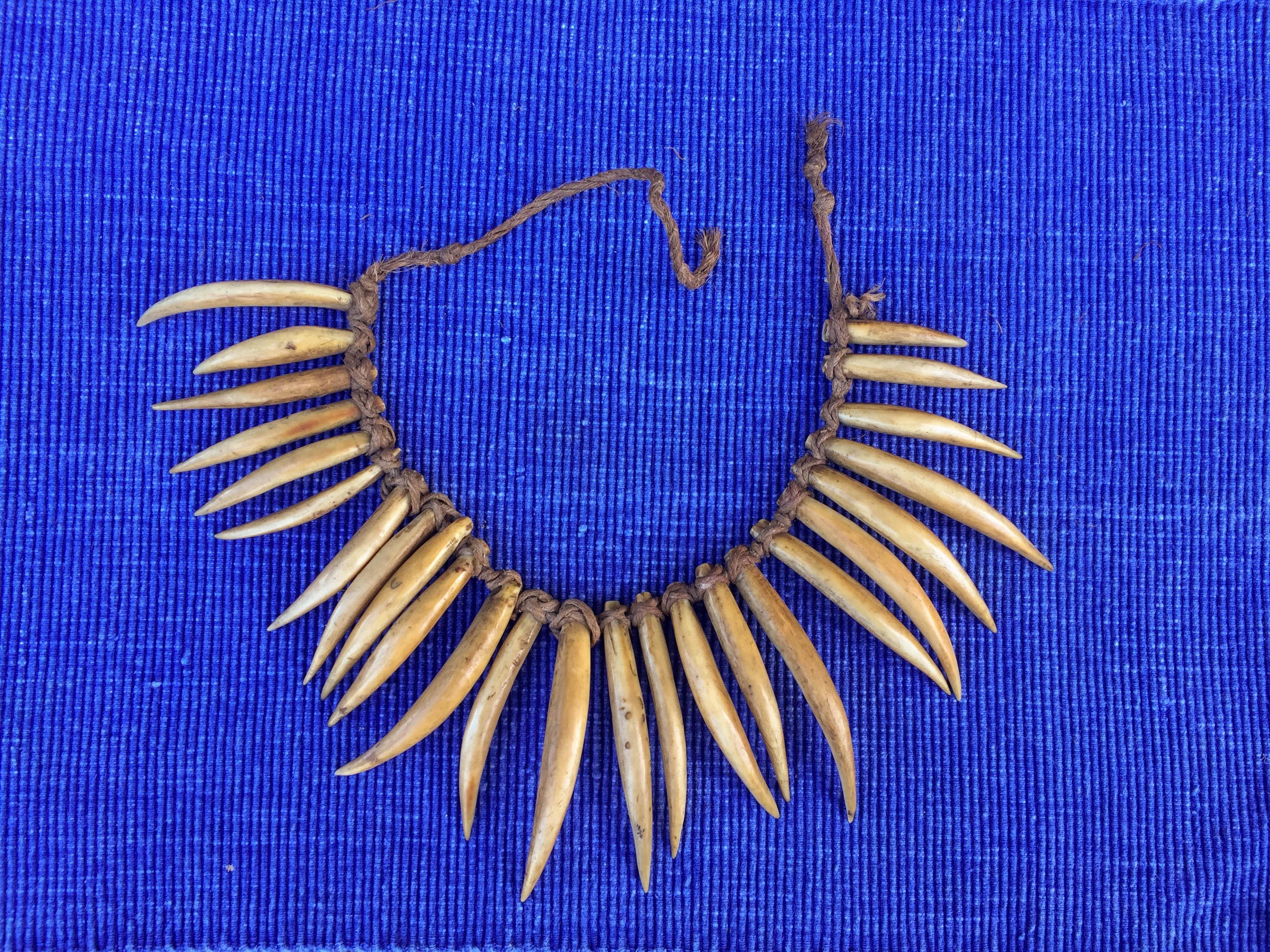 A beautiful 25 short tusk Fijian sperm whale tooth necklace. These necklaces were highly important made for Fijian Chiefs and used in exchange in order to create relationships between separate groups, rarely available to Europeans post 1870s.