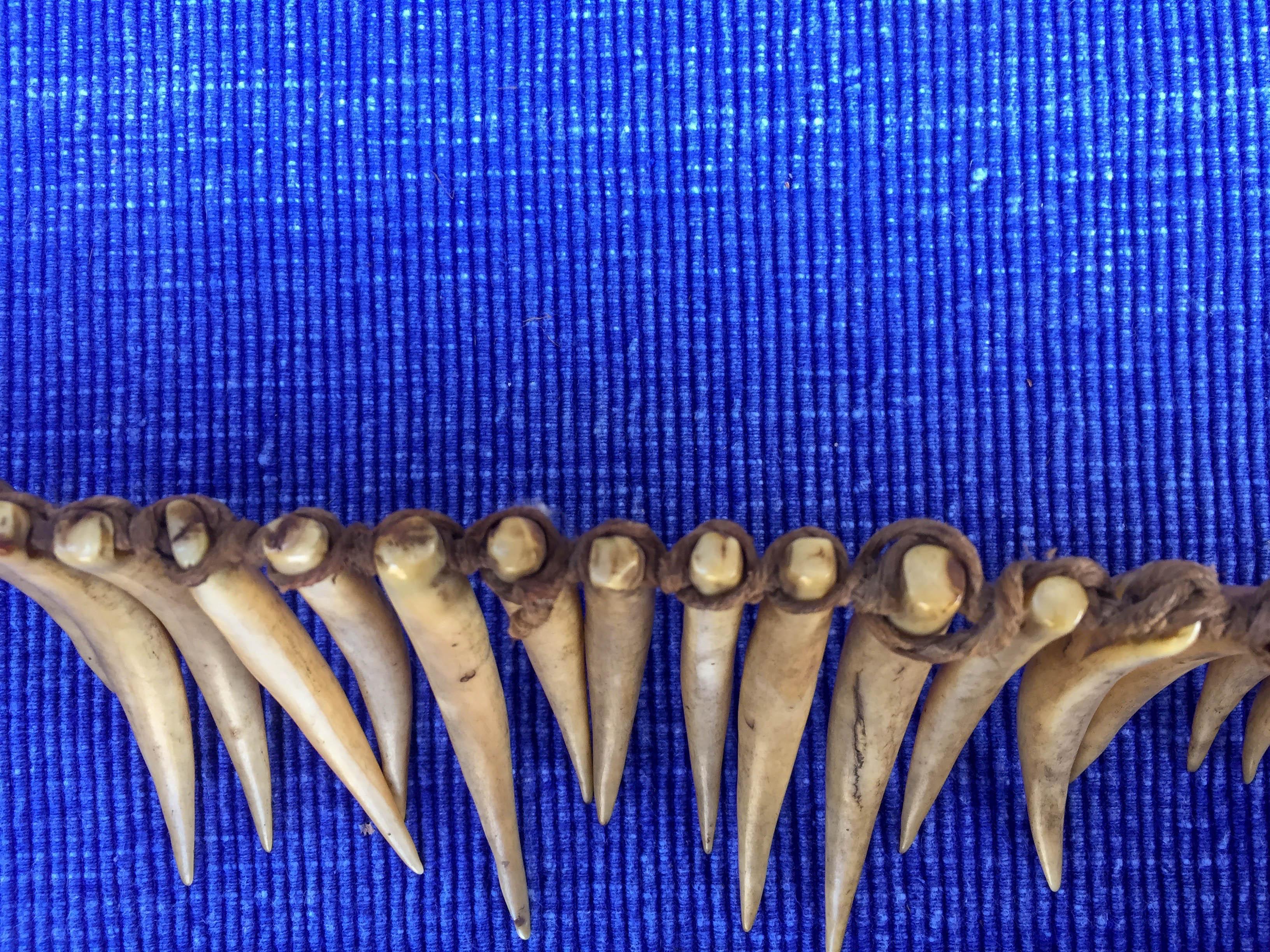 Elegant 19th Century Fijian Wasekaseka / Waseisei Necklace, Ex UK Collection 2