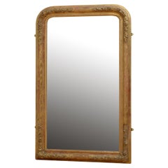 Elegant 19th Century Gilded Pier Mirror