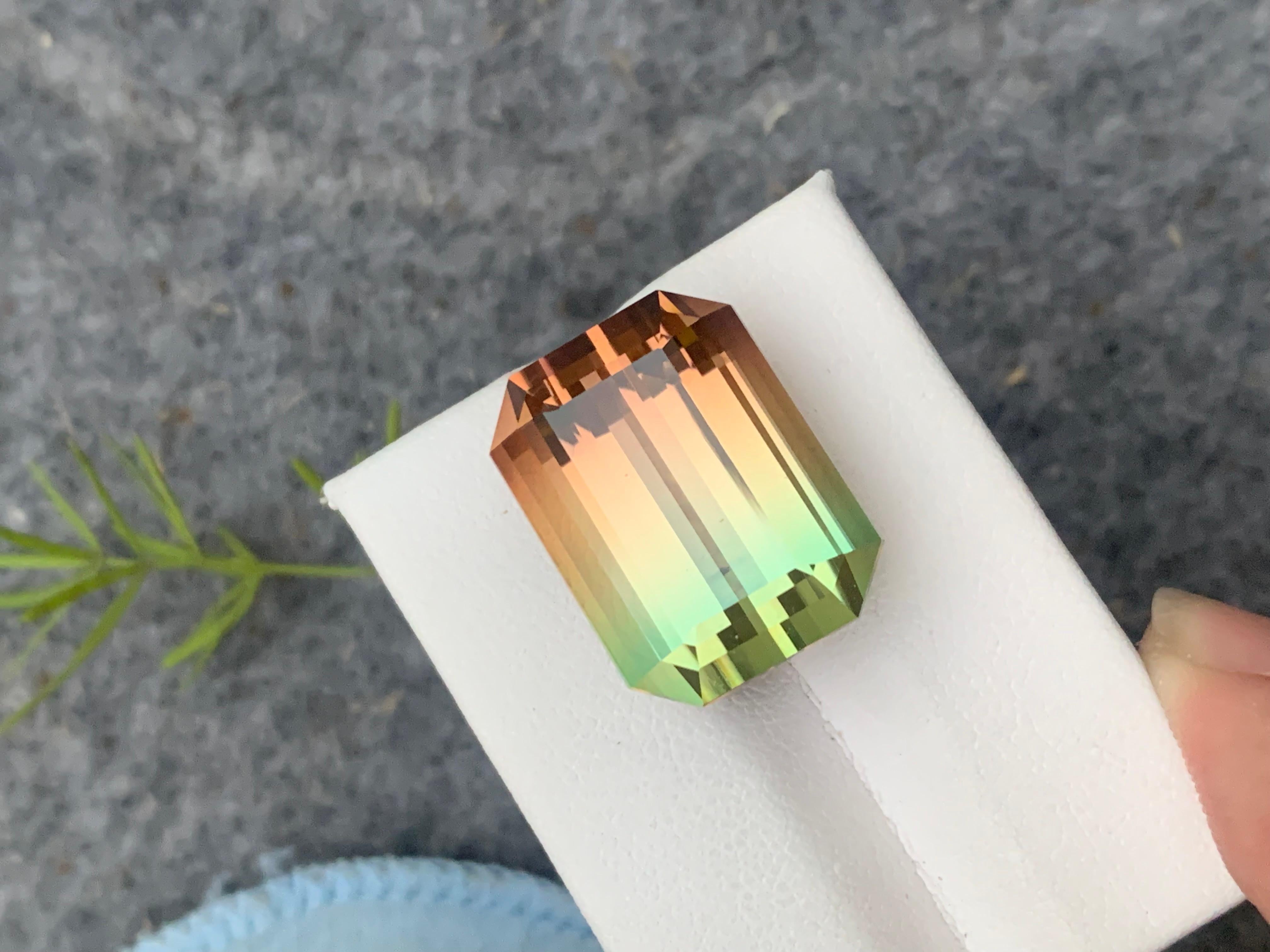 Bicolor Tourmaline 
Weight: 38.65 Carats
Dimension: 20x15.6x13.5 Mm
Origin: Africa
Color: Green & Orange
Shape: Emerald
Quality: AAA
.
Bicolor tourmaline is connected to the heart chakra, which makes it good for cleansing and removing any blockages.