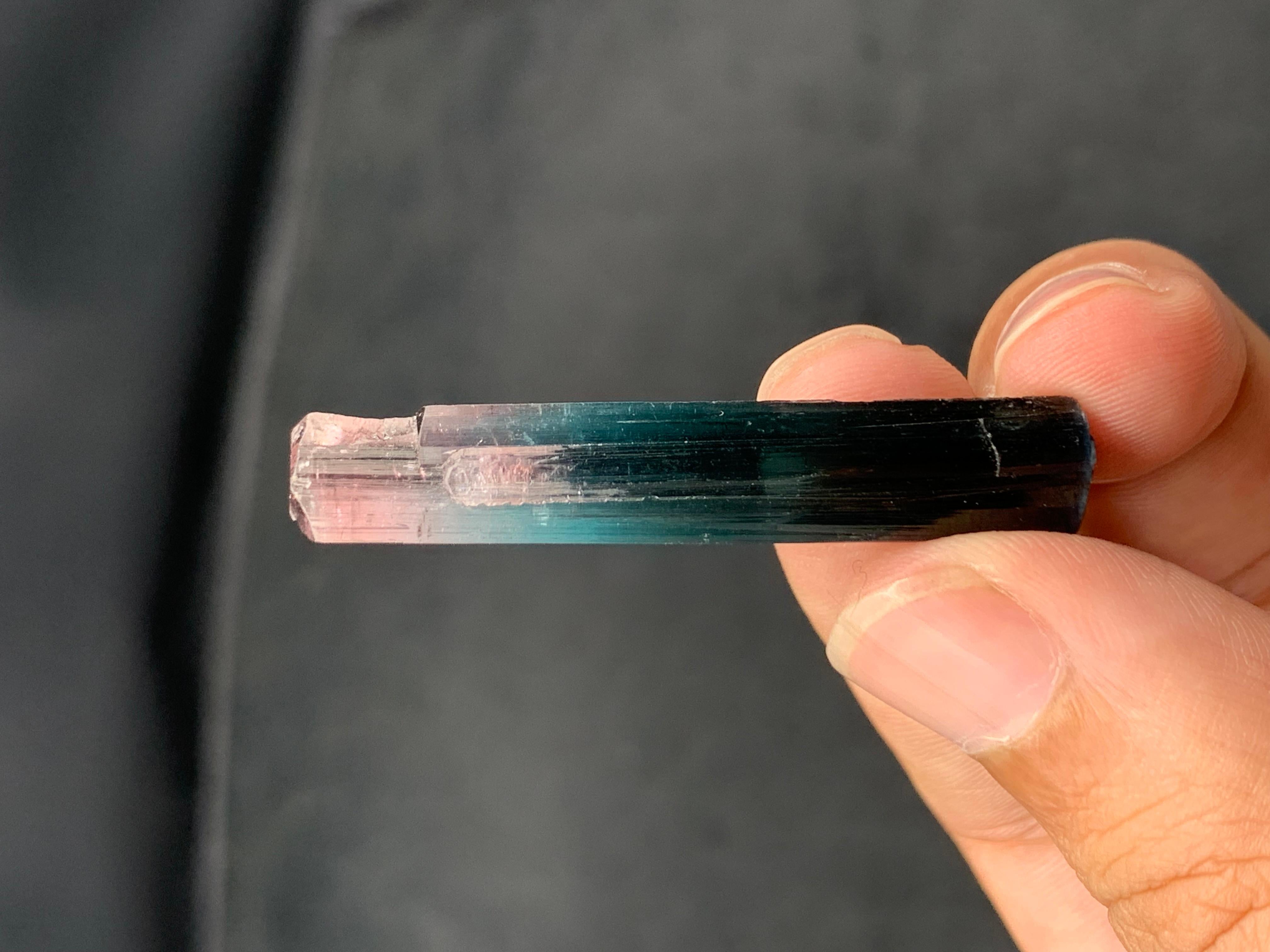 Stile Adam Eleganza di 5,49 grammi di cristallo di tormalina bicolore dalla miniera dell'Afghanistan in vendita