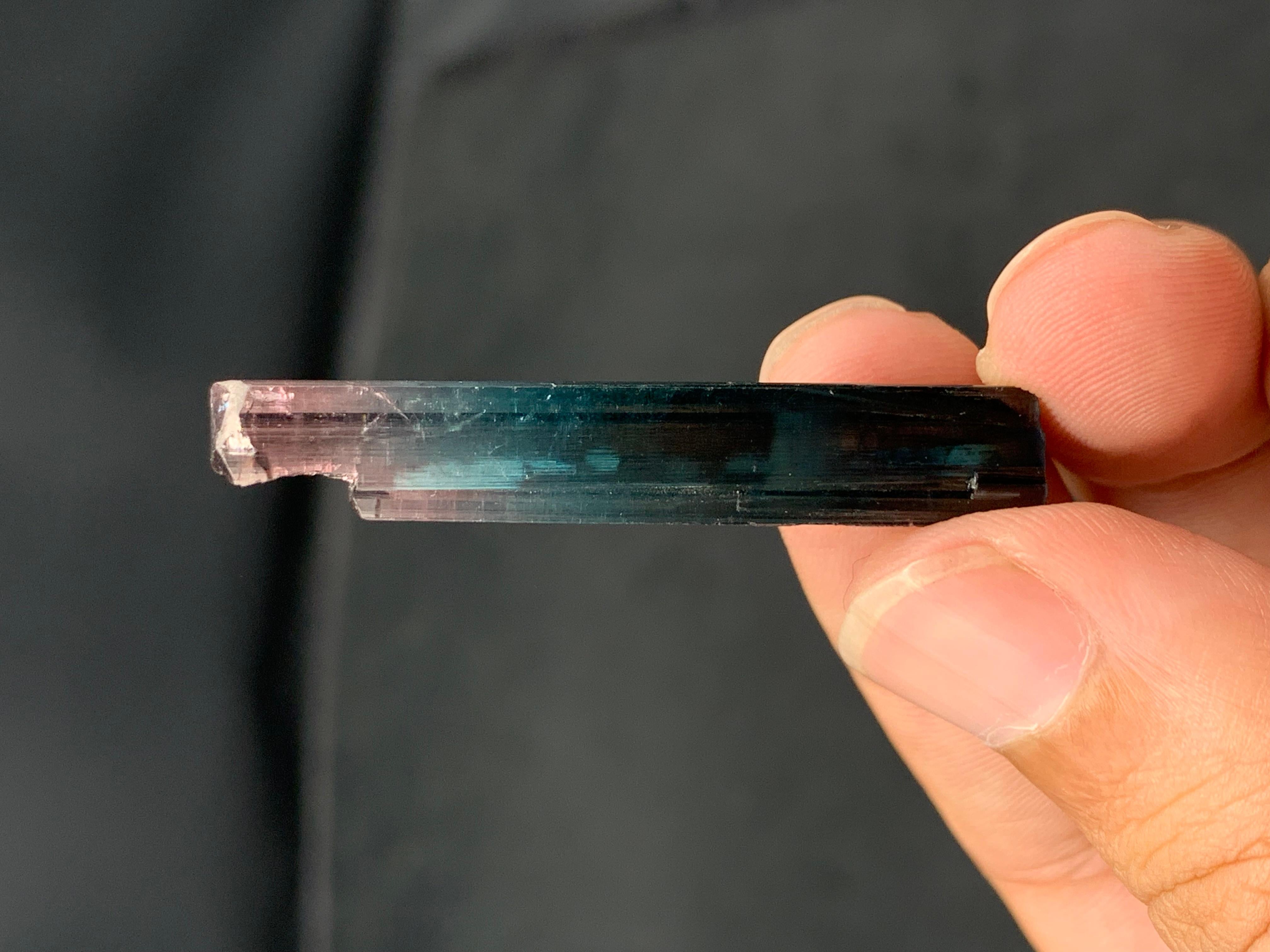 Eleganza di 5,49 grammi di cristallo di tormalina bicolore dalla miniera dell'Afghanistan In condizioni buone in vendita a Peshawar, PK