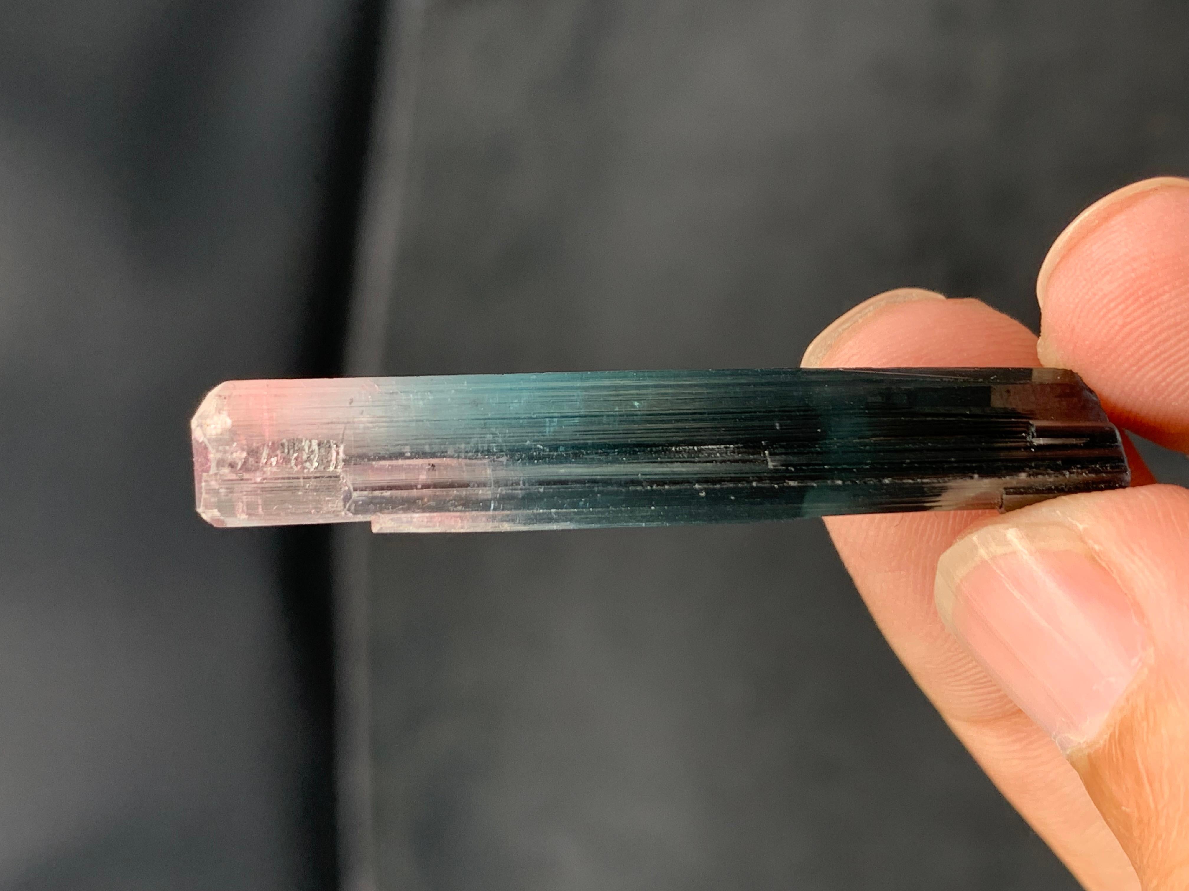 XXI secolo e contemporaneo Eleganza di 5,49 grammi di cristallo di tormalina bicolore dalla miniera dell'Afghanistan in vendita