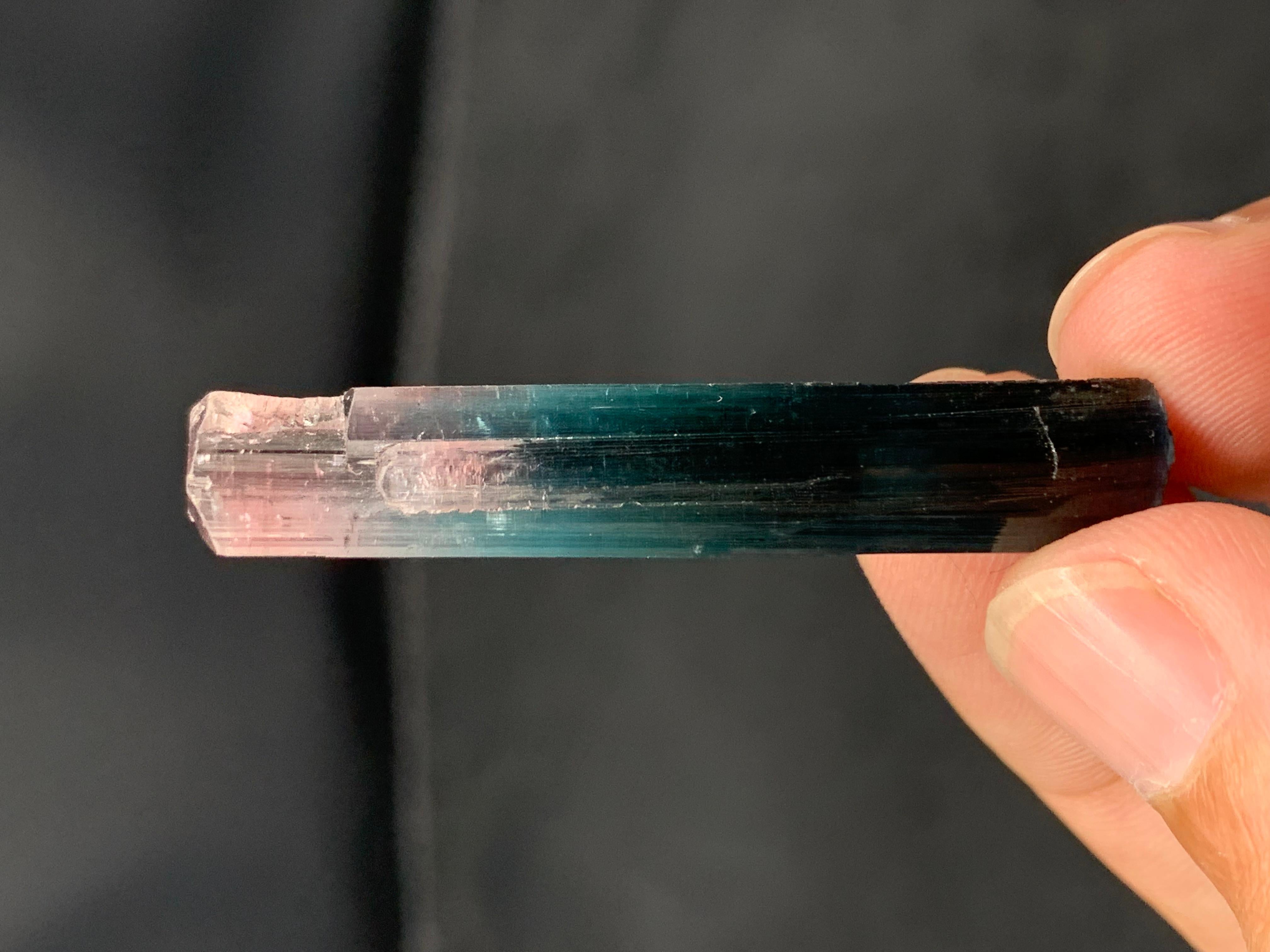Tormalina Eleganza di 5,49 grammi di cristallo di tormalina bicolore dalla miniera dell'Afghanistan in vendita