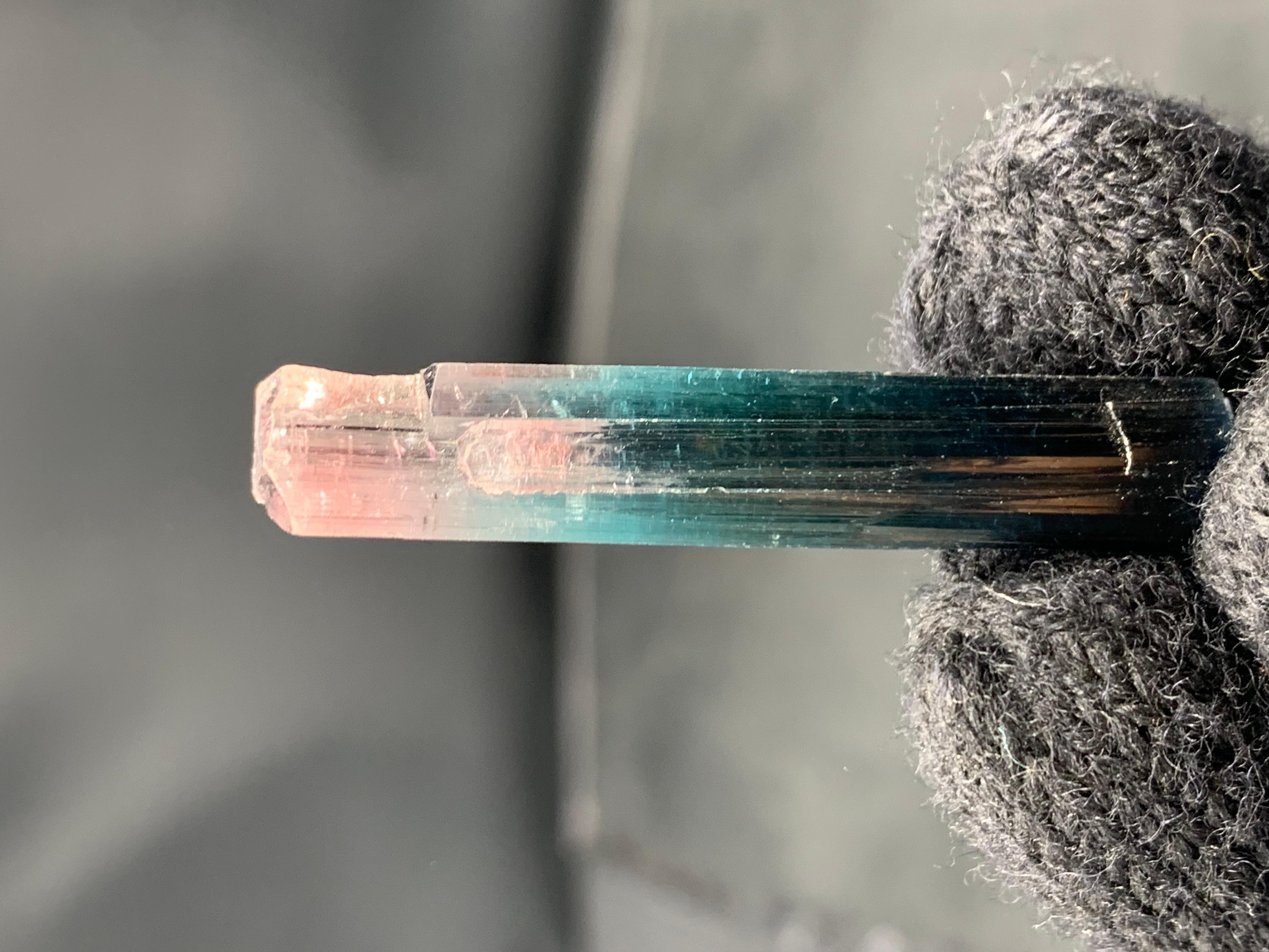 Eleganza di 5,49 grammi di cristallo di tormalina bicolore dalla miniera dell'Afghanistan in vendita 1