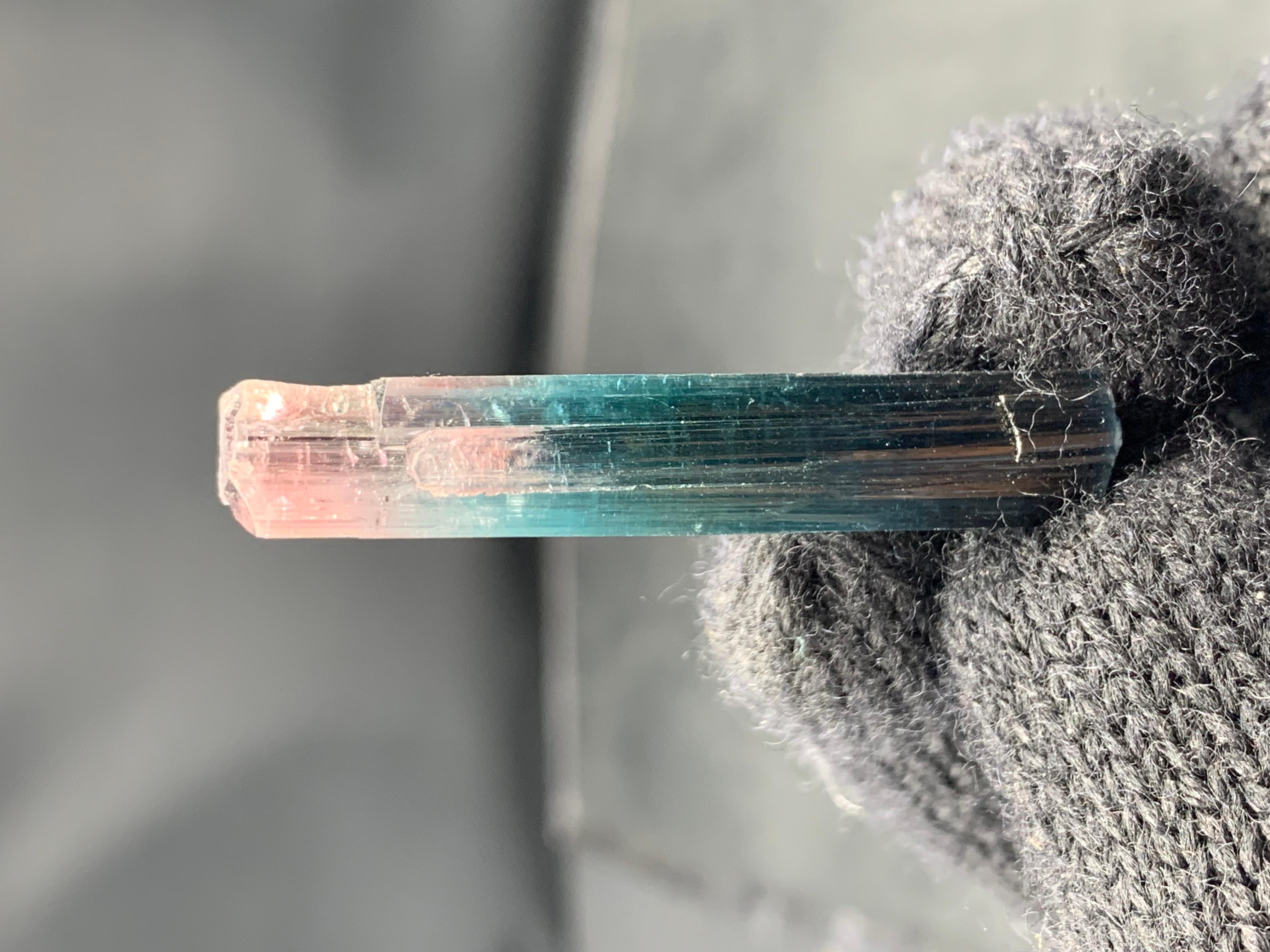 Eleganza di 5,49 grammi di cristallo di tormalina bicolore dalla miniera dell'Afghanistan in vendita 2