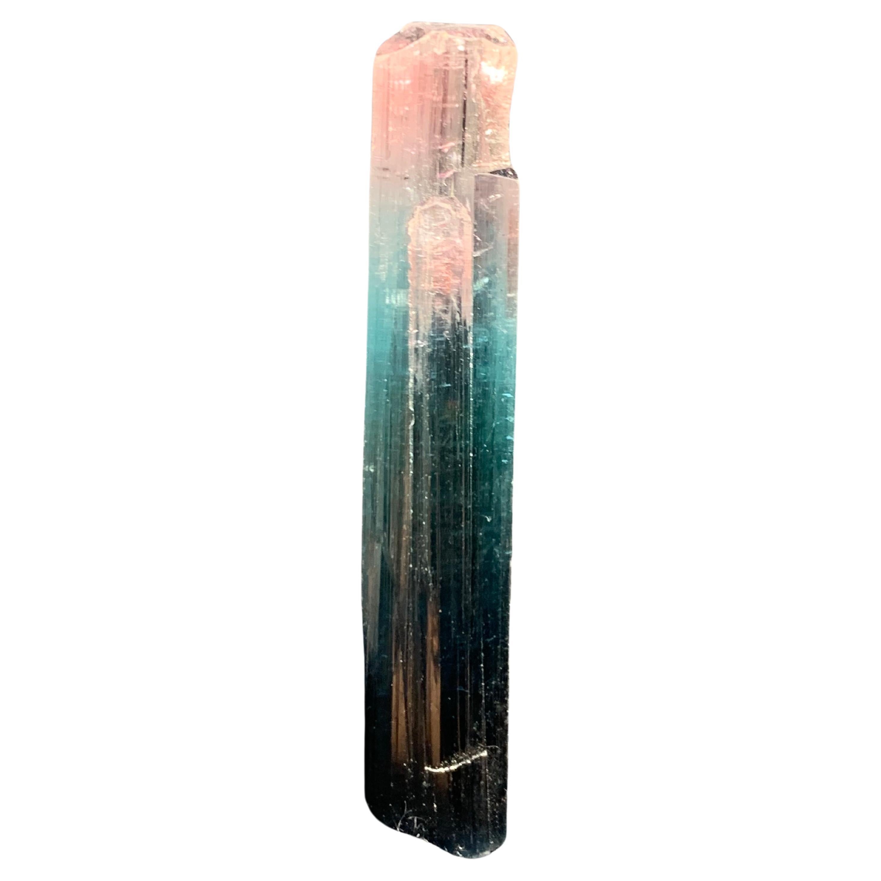 Eleganza di 5,49 grammi di cristallo di tormalina bicolore dalla miniera dell'Afghanistan in vendita