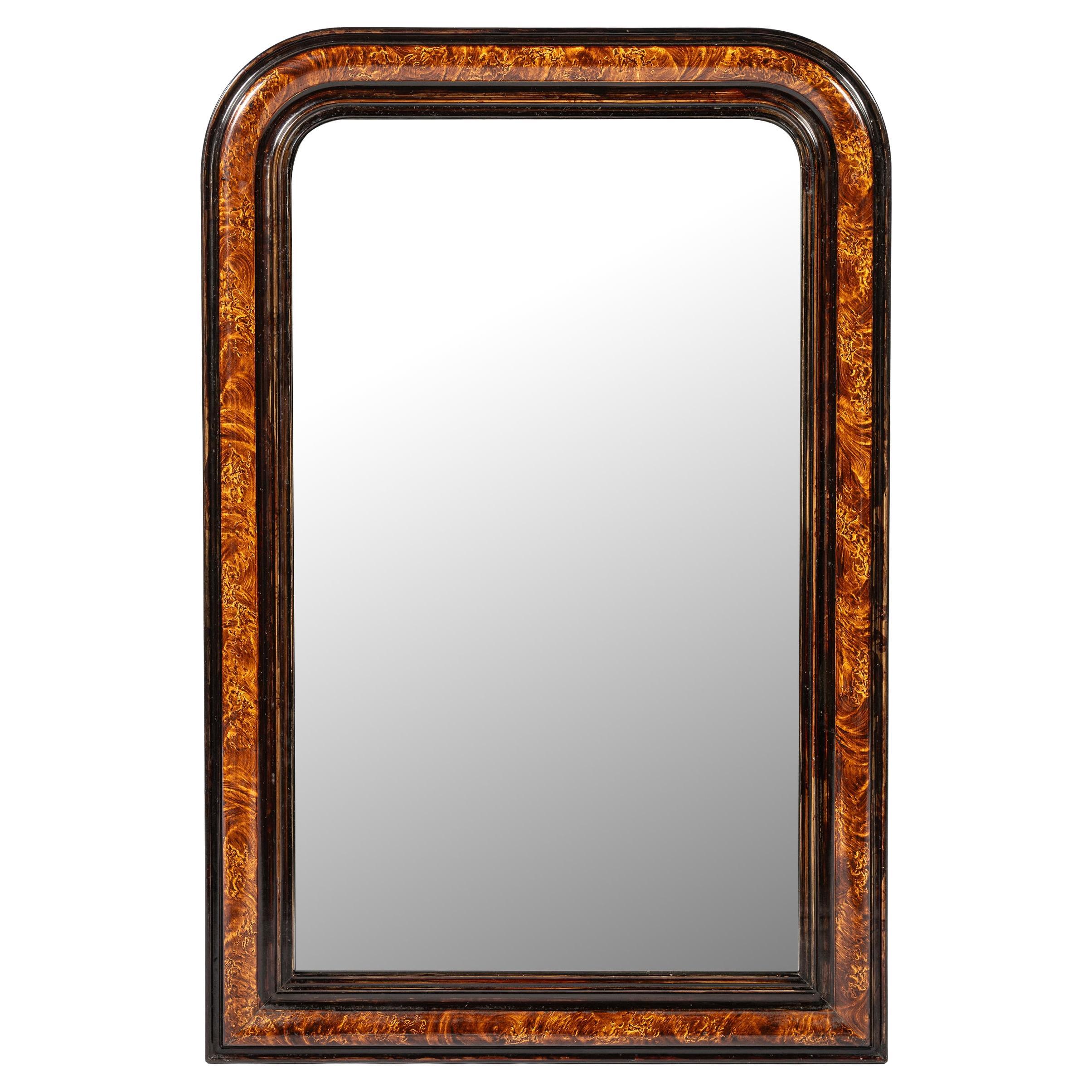 elegant antique 19th century French Faux Bois Painted Louis Philppe mirror