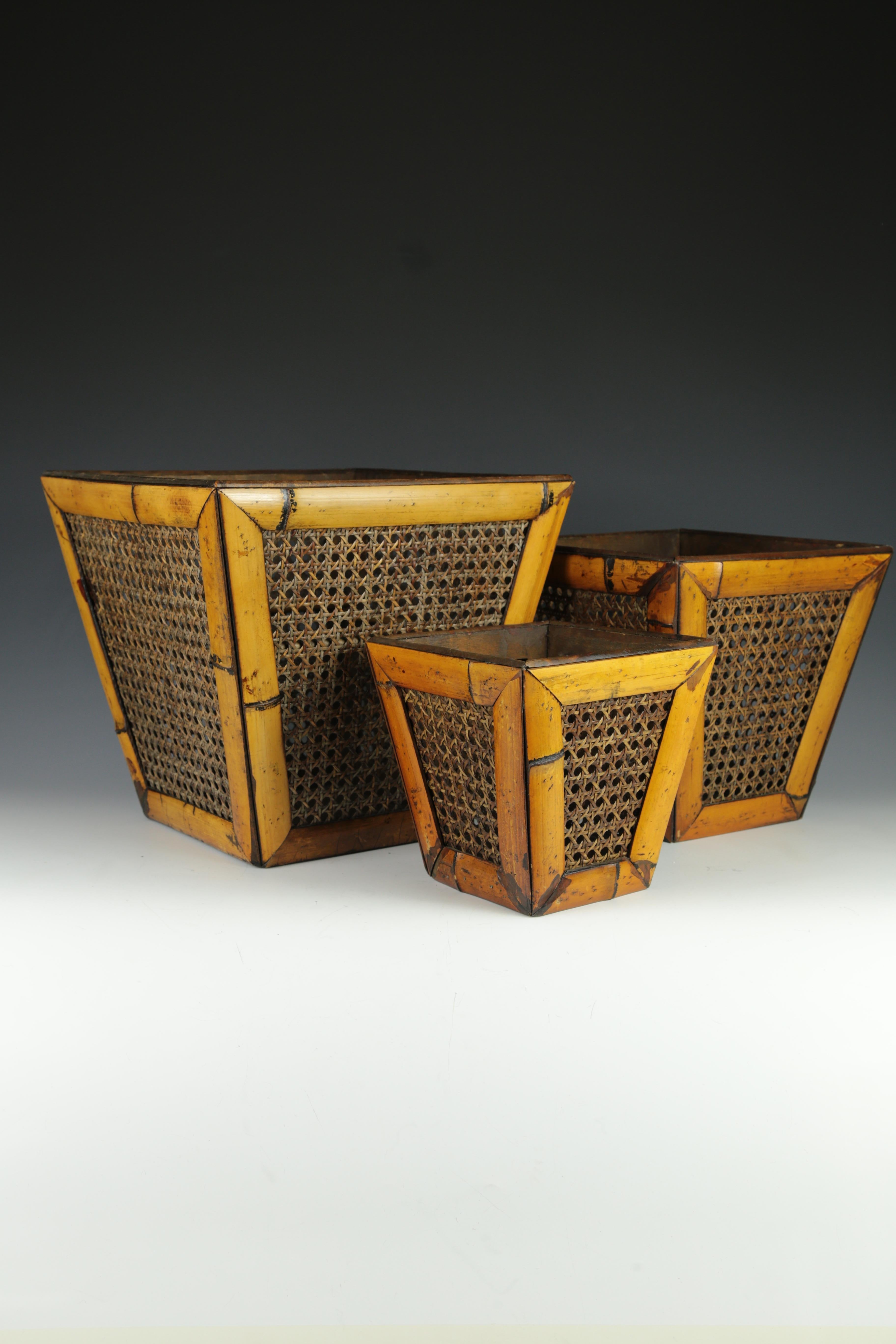 Elegantes Maceteros Antiguos de Bambú y Caña (Set de 3)

Este encantador conjunto de tres maceteros antiguos de caña, revestidos de bambú, es un hallazgo raro, sobre todo en tan excelente estado.

Históricamente, las macetas de caña y bambú han sido