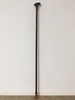 Elegant Antique Blow Poke / Blowpipe