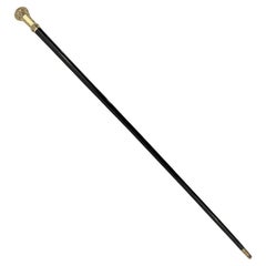 Elegant Antique Carved Gold Plate Knob Handle Unique Hallifax Walking Stick Cane