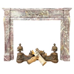 Elegant Antique Fireplace Mantel in Classic Louis XVI Style