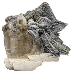 Elegante Arrangement aus silberweißen Muscovite-Mica-Kristallen auf Rauchquarz 